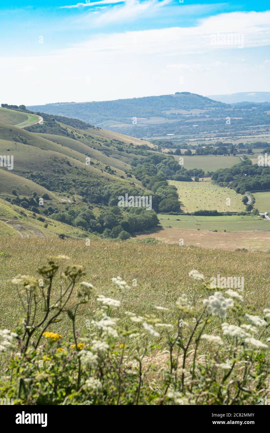 Devil's Deich Valley, South Downs, Sussex, UK Richtung Fulking und darüber hinaus mit wilden Blumen im Vordergrund Stockfoto