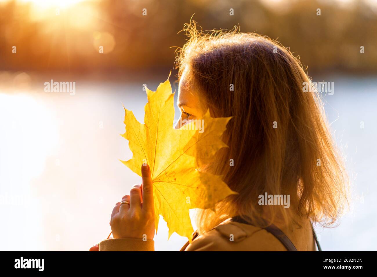 Herbst Ahornblatt in der Hand der hübschen Frau, Porträt draußen in der Herbstsaison. Schöne Herbst Natur, Szene durch Fluss im Herbst Park gegen Sonne, jung Stockfoto