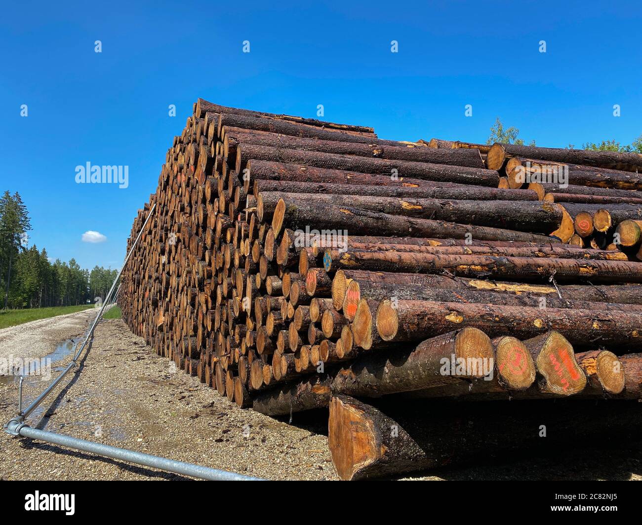 Lagerung von bewässerten Baumstämmen Stockfoto