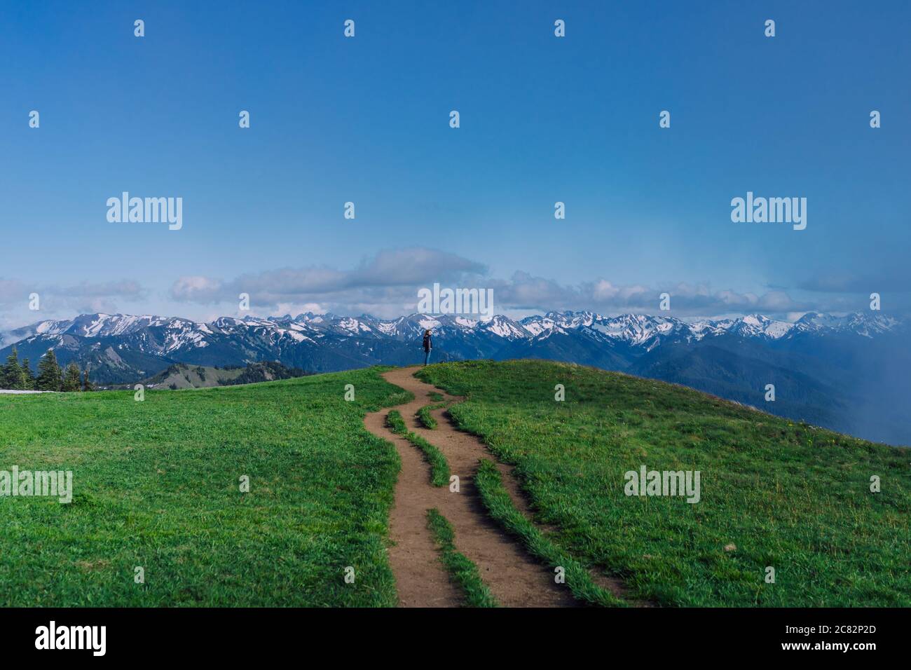 Winziger Wanderer am Ende des Weges auf der Spitze Der Grat im Olympic NP Stockfoto