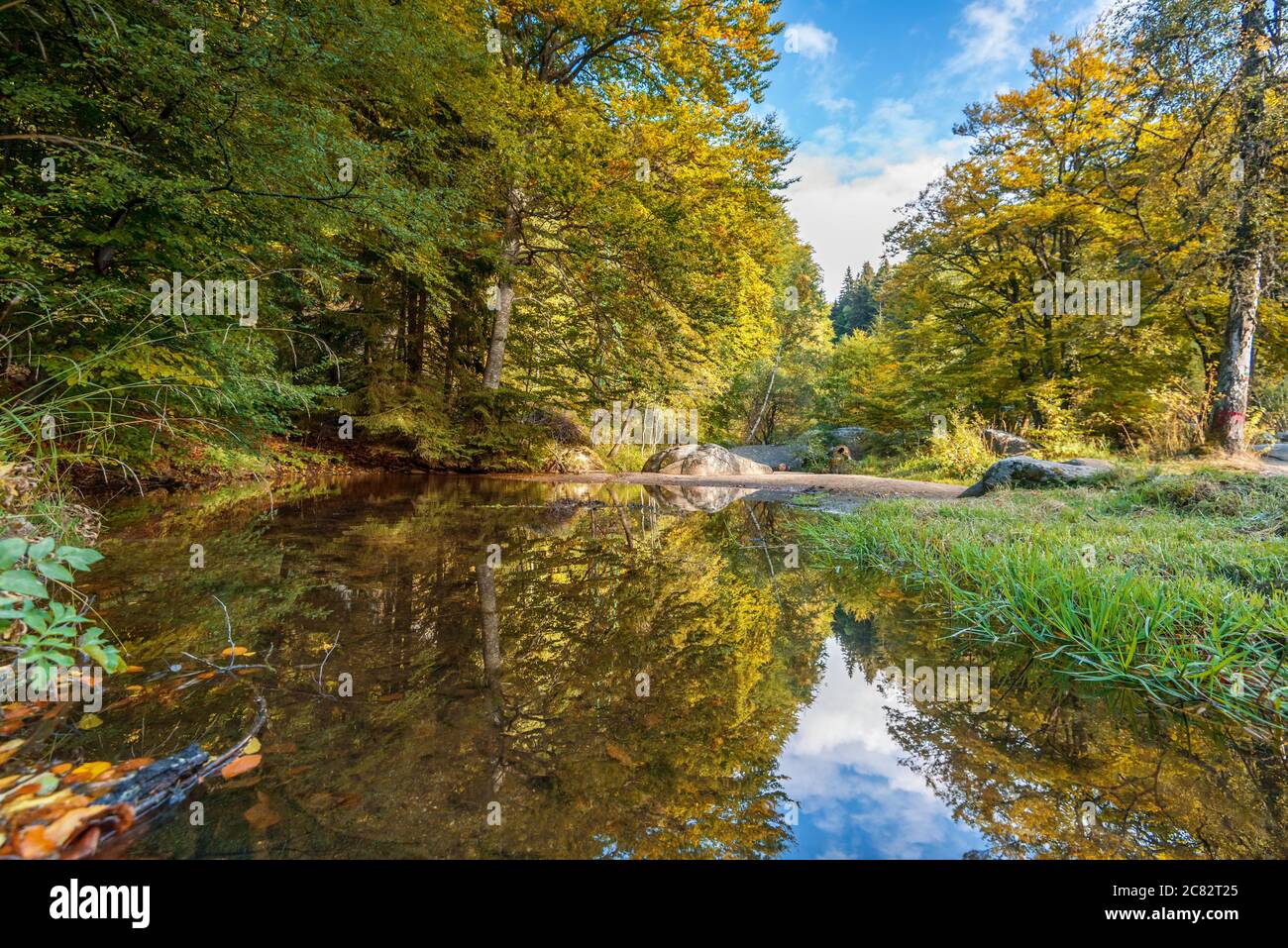 Herbstlandschaft mit bunten Wald im Wasser reflektiert. Stockfoto