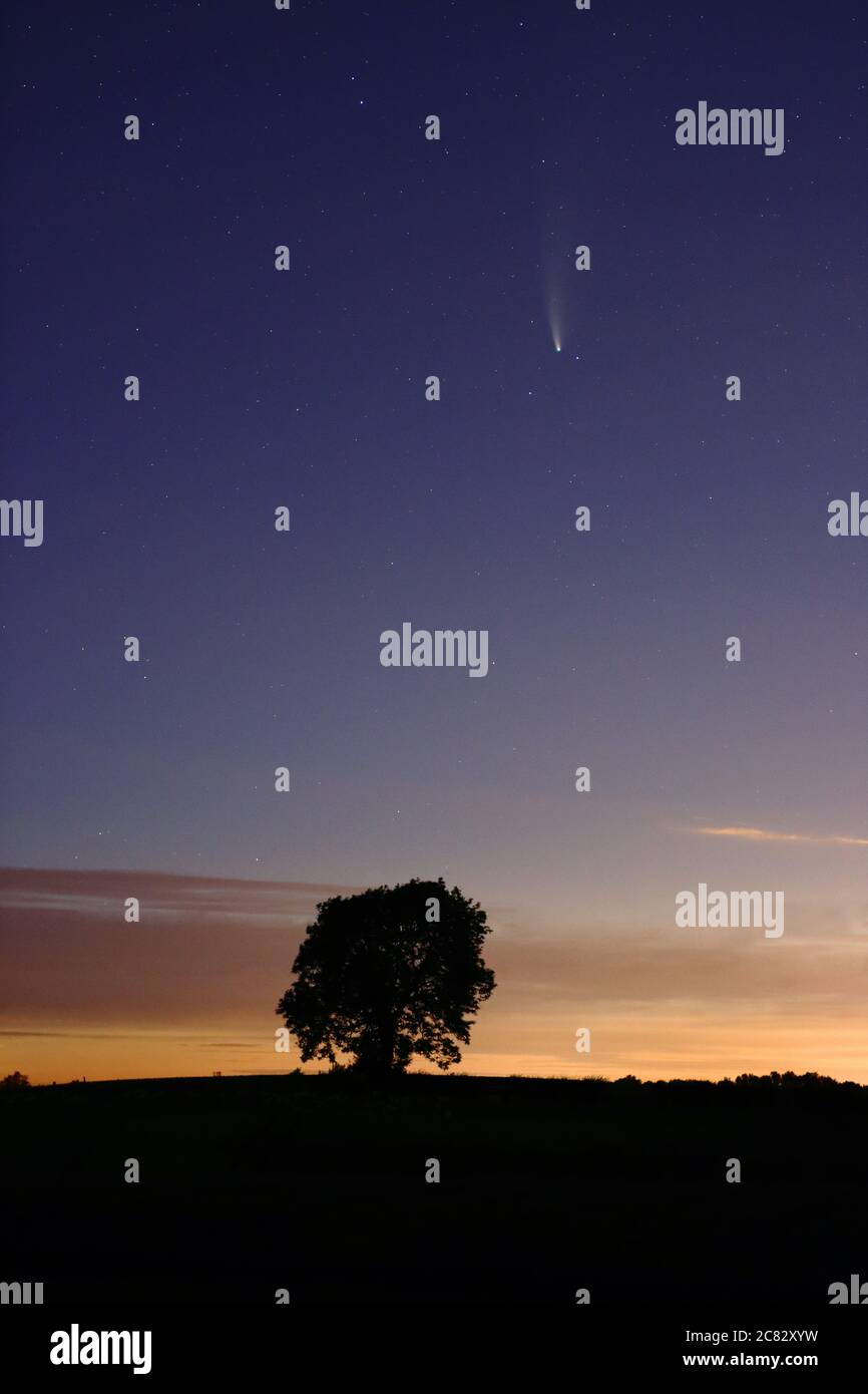 Bild des Kometen Neowise im Nachthimmel mit einer Silhouette eines Baumes, 18. Juli 2020, Grafschaft Durham, England, Großbritannien Stockfoto