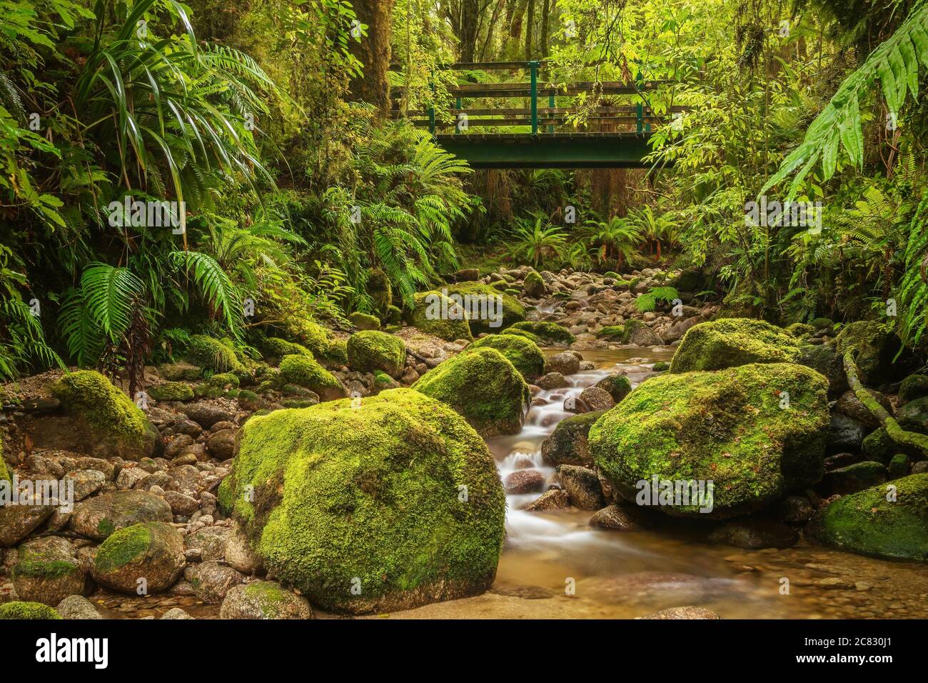 Lange Exposition eines kleinen Baches zwischen moosigen Felsbrocken in einem üppigen Regenwald, mit einer Holzbrücke im Hintergrund. South Island, Neuseeland. Stockfoto