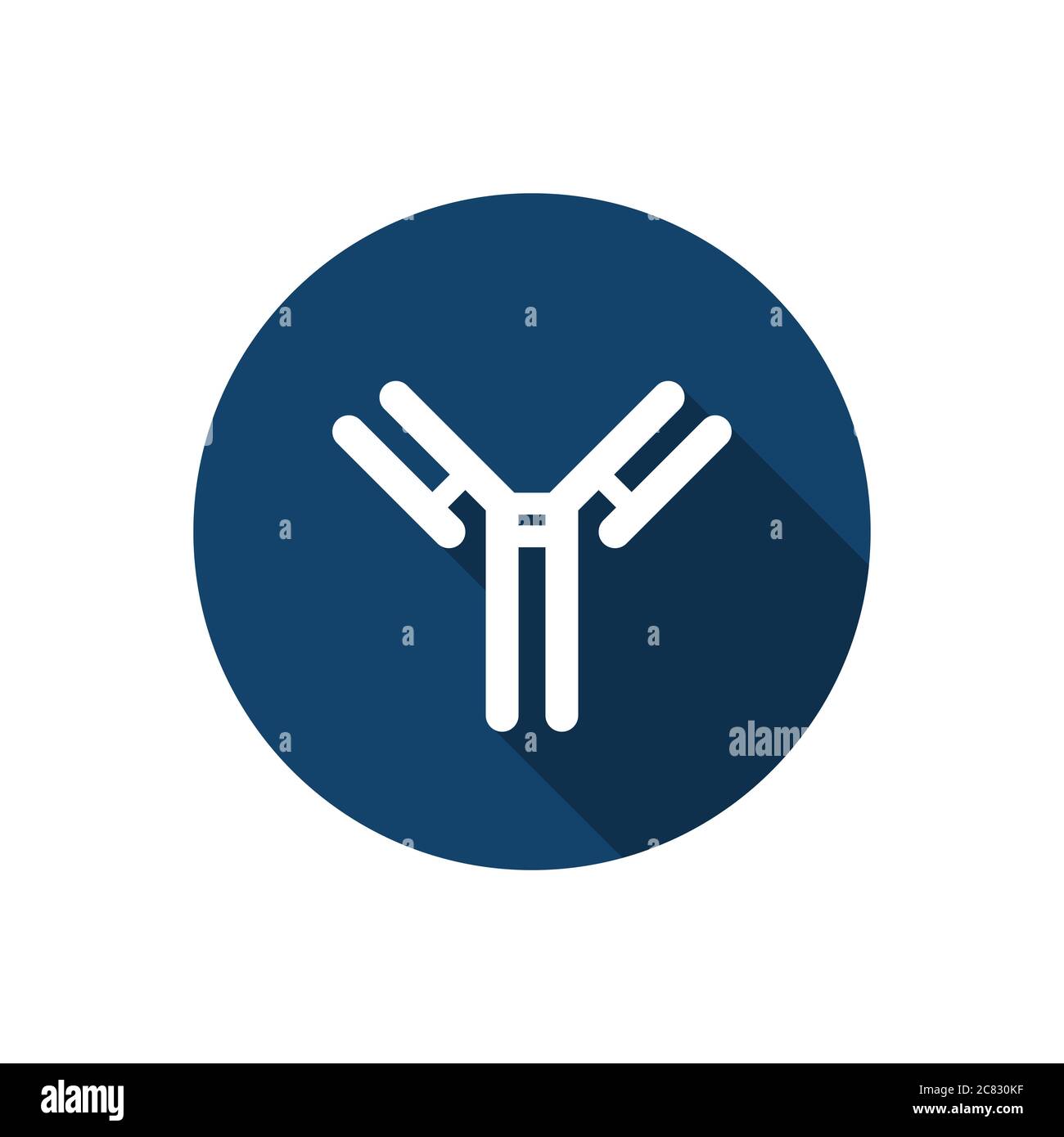 Flaches Symbol für Antikörper (Immunglobulin), Vektordarstellung Stock Vektor