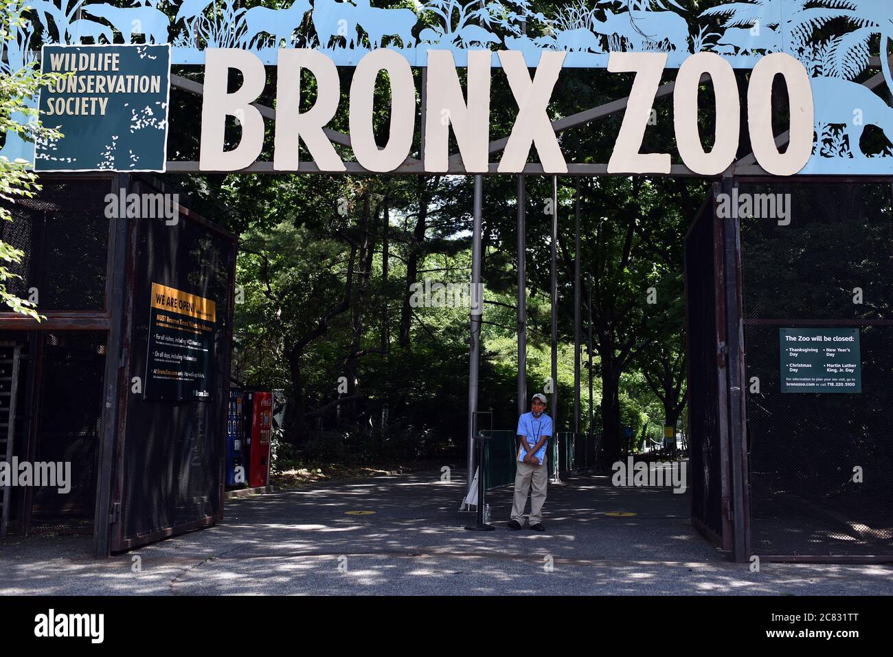 New York City, USA. Juli 2020. Der Bronx Zoo wurde für Mitglieder nur im Rahmen der Phase 4 der Wiedereröffnung in New York, NY, 20. Juli 2020 eröffnet. In Phase 4 können Zoos botanischen Gärten mit 1/3 Kapazität öffnen, können professionelle Sport ohne Fans und Medienproduktionen mit nicht mehr als 25 Menschen wieder aufnehmen. (Anthony Behar/Sipa USA) Quelle: SIPA USA/Alamy Live News Stockfoto
