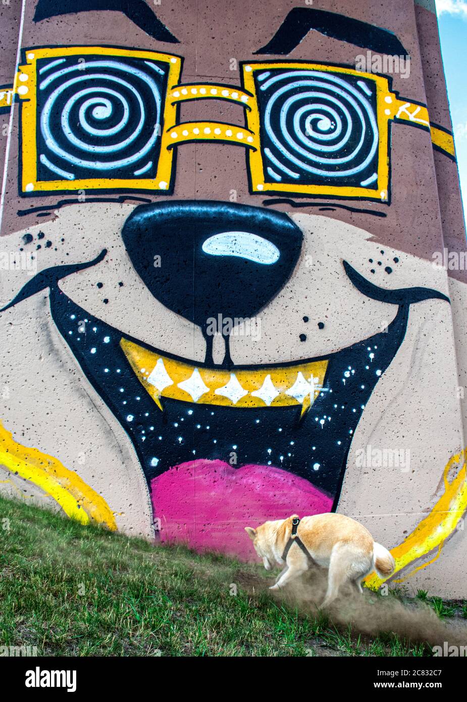 Hund graben vor Graffiti Stockfoto