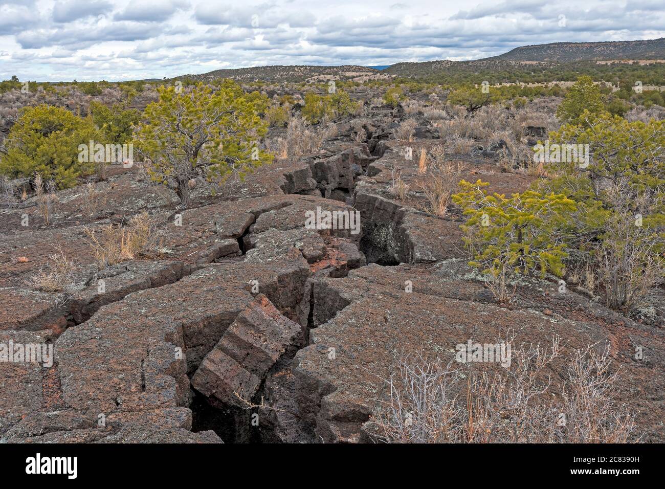 Fissure Line in einem gehärteten Lava Feld in El Malpais National Monument in New Mexico Stockfoto