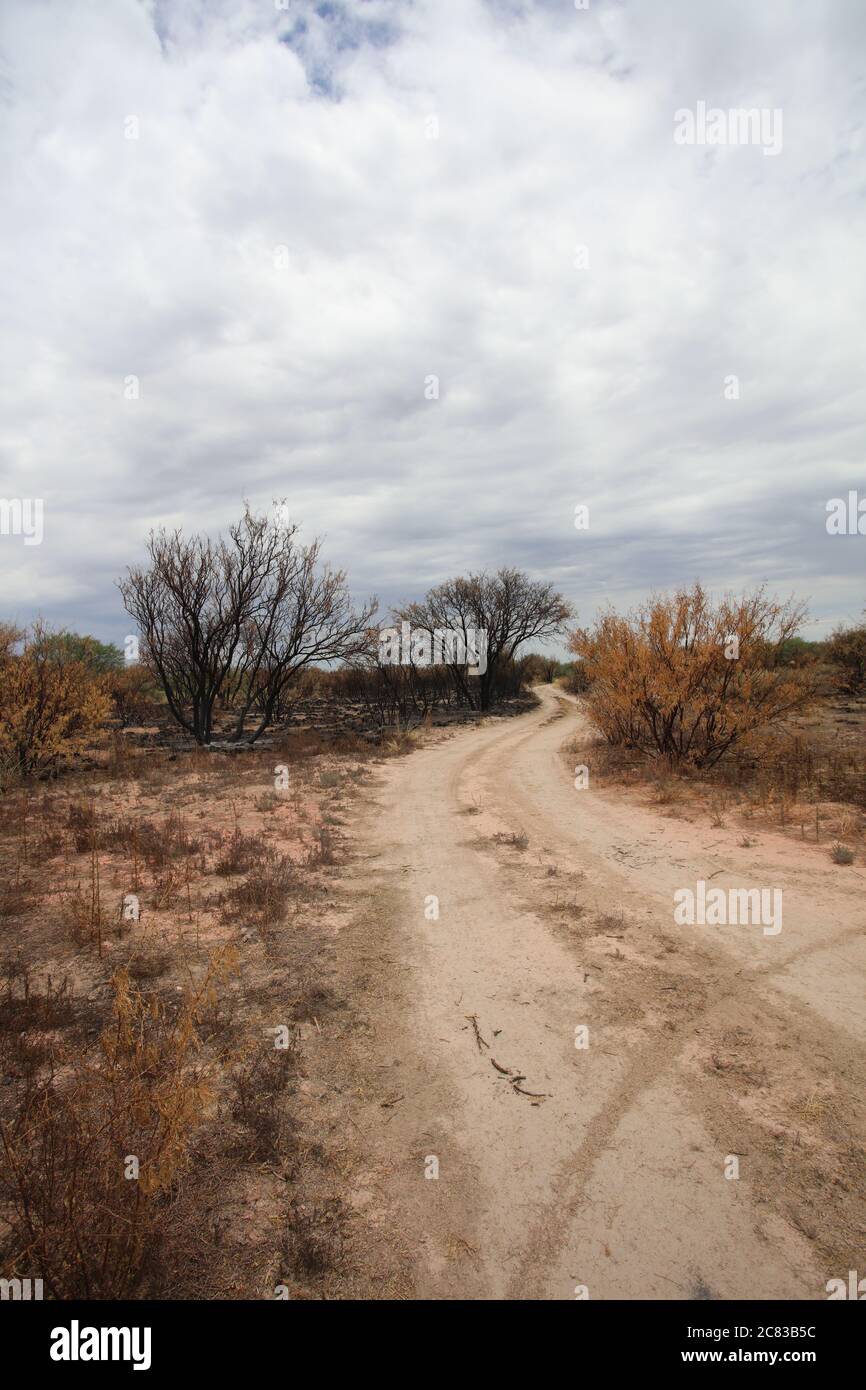 San Pedro River am Arizona Highway 90 - Erholung Stockfoto