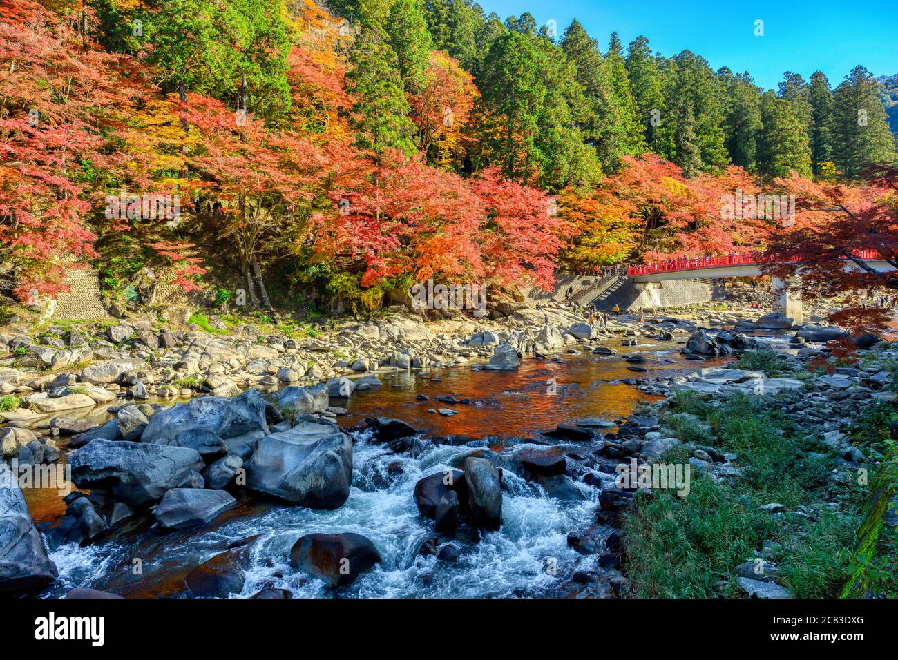 Korankei Tal im Herbst färben sich die Blätter rot, ist sehr schön. Es gibt Bäche und rote Brücke Taigetsu ein beliebter Ort, um die wechselnden Blätter zu sehen Stockfoto