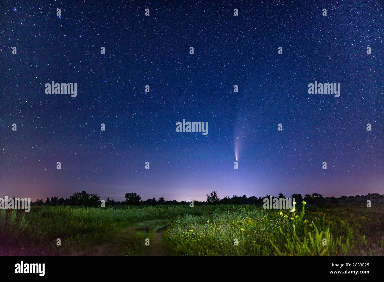 Nachthimmel mit Neowise Komet. Sternenhimmel mit Sternbild Big Dipper und seltenem Kometen mit Schweif. Stockfoto