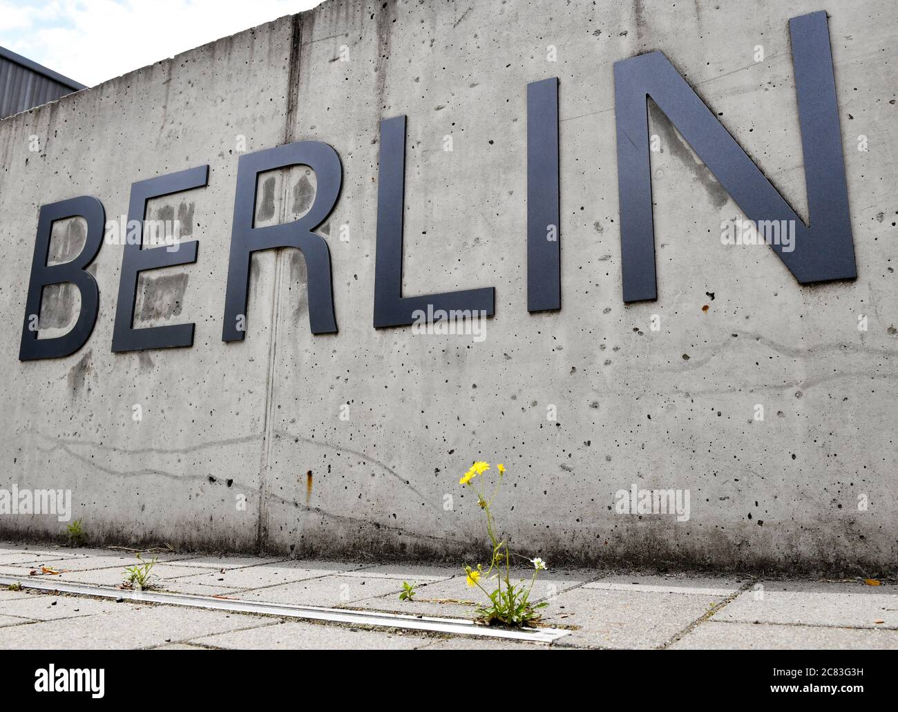 Berlin, Deutschland. Juli 2020. Das Wort "Berlin" ist an einer Betonwand vor einem Universitätsgebäude der Freien Universität in Dahlem angebracht. Davor wächst eine gelbe Blume vom Gehsteig. Sie ist Teil des Aufschrifteneindruckes 'Freie Universität Berlin'. Quelle: Jens Kalaene/dpa-Zentralbild/ZB/dpa/Alamy Live News Stockfoto