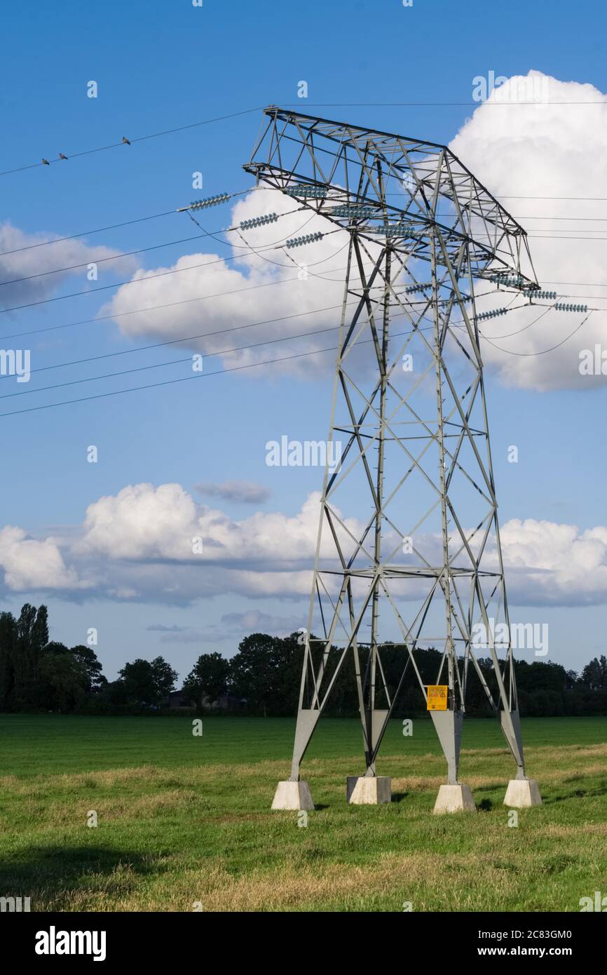 Hochspannungs-Strommast in grüner Landschaft, am blauen Himmel mit Wolken. Drei Vögel sind auf dem Stromkabel Stockfoto