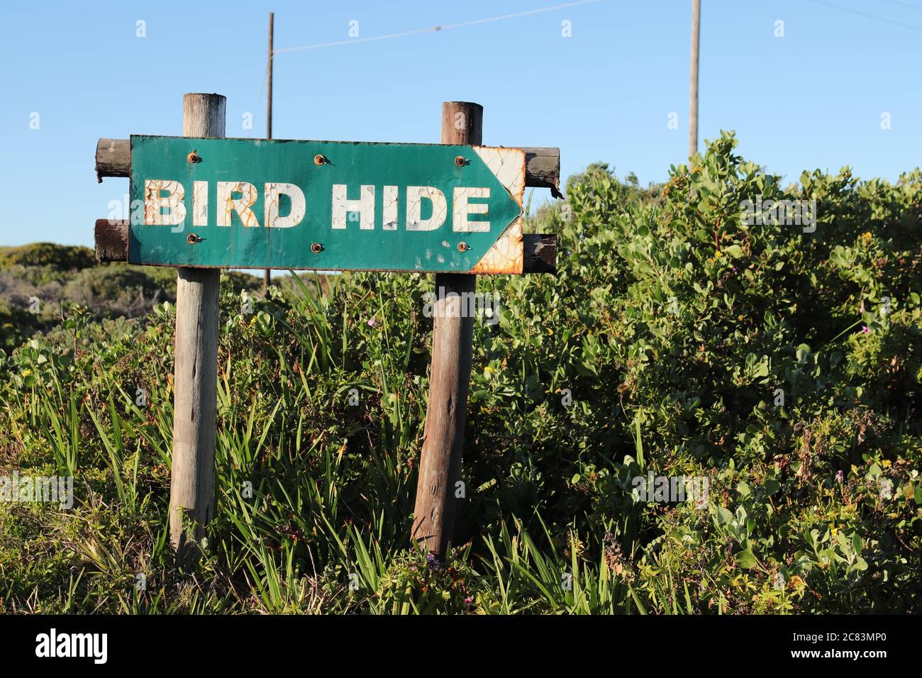 Schild mit ''Vogel verstecken'' darauf mit Bäumen in der Hintergrund Stockfoto