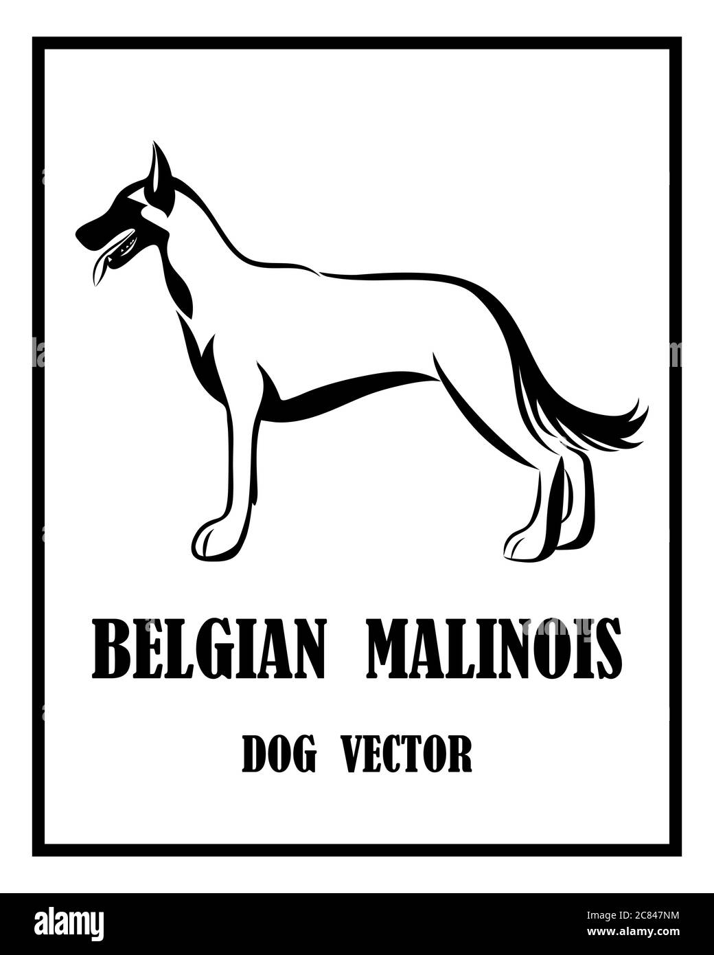 Schwarz-Weiß-Vektor des belgischen Schäferhundes Malinois. Es steht. Stock Vektor