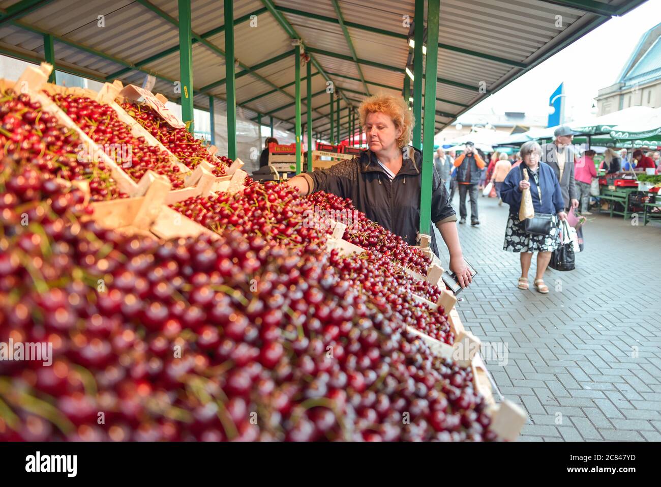 Riga / Lettland - 18. Juni 2020: Frau, die Kirschen auf dem Kapitalmarkt verkauft Stockfoto