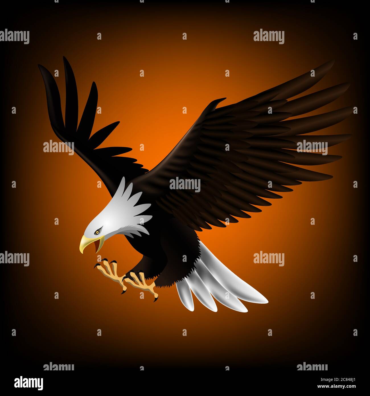 Vektor-Illustration eines Adlers, der abfliegt und Beute fängt. Es ist wunderschön und elegant. Stock Vektor