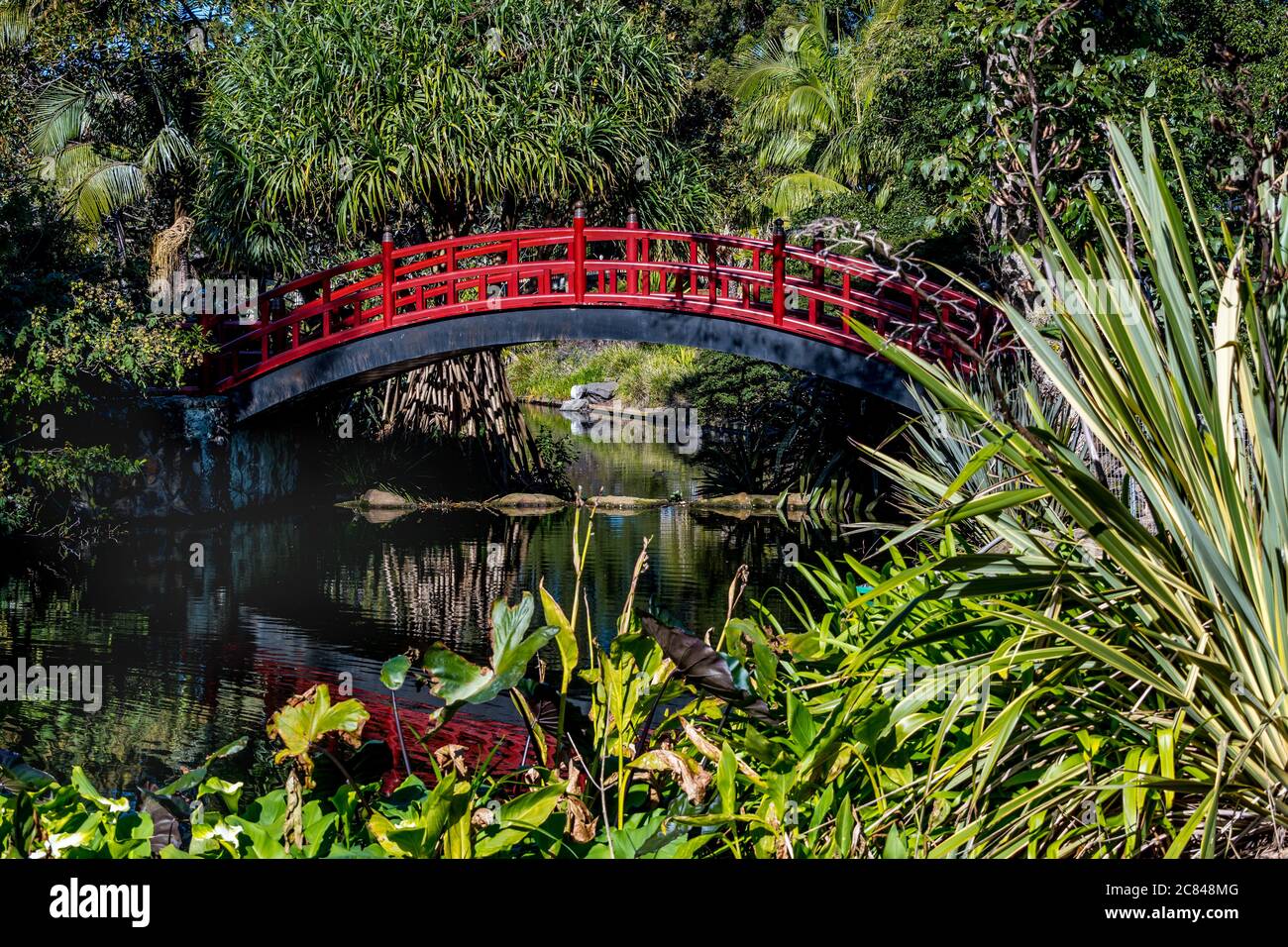 Kawasaki Brücke Wollongong Botanic Gardens Stockfoto
