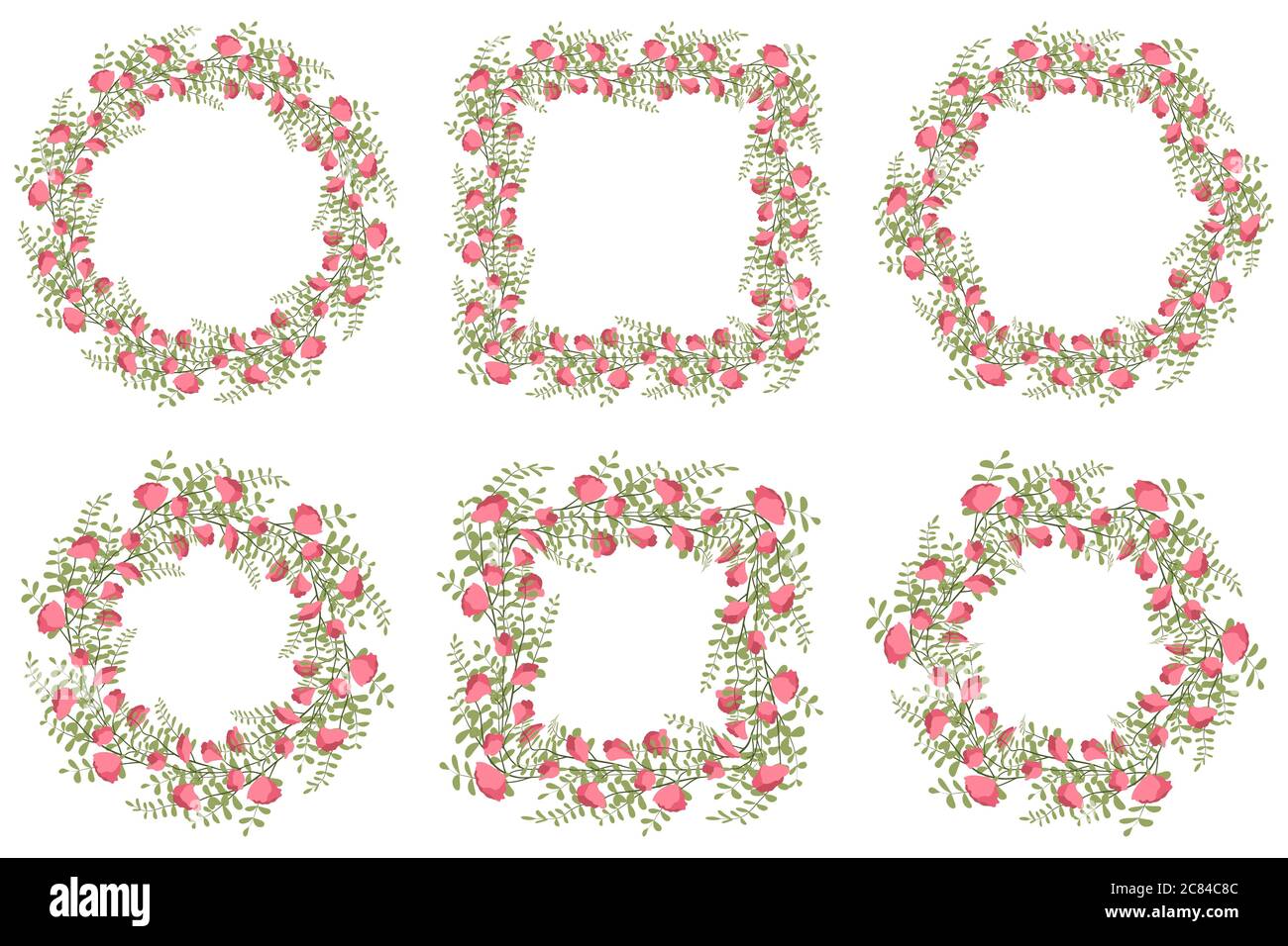 Zuckererbse Botanische Stock Vektorgrafiken Kaufen Alamy