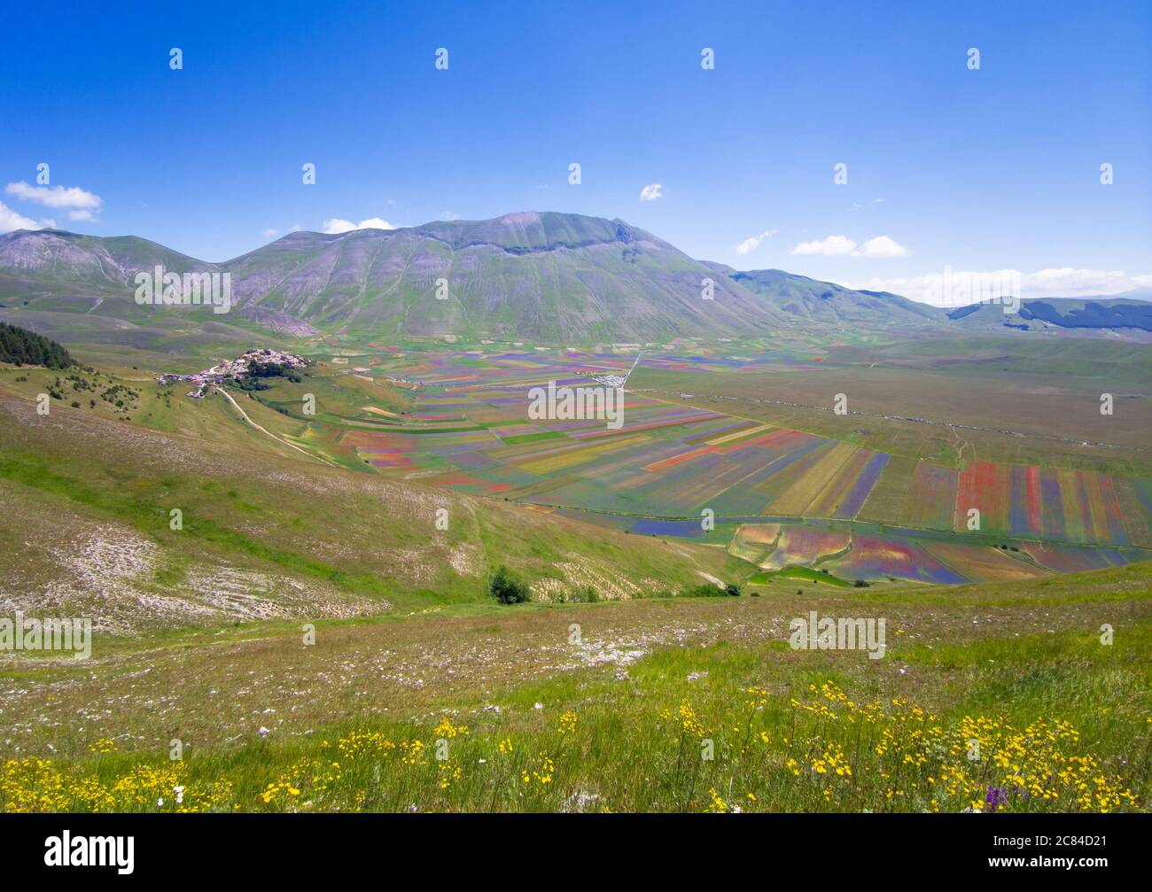 Castelluccio di Norcia, 2020 (Umbrien, Italien) - die berühmte Landschaft blüht mit vielen Farben, im Hochland der Sibillini Berge, Mittelitalien. Stockfoto