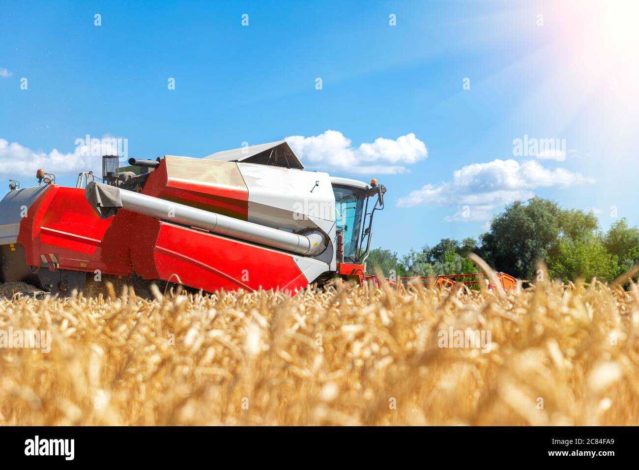 Aerial Drohne Draufsicht rot leistungsstarke Industrie Mähdrescher Maschine ernten golden reifen Weizen Getreidefeld an hellen Sommer oder Herbst Tag Stockfoto
