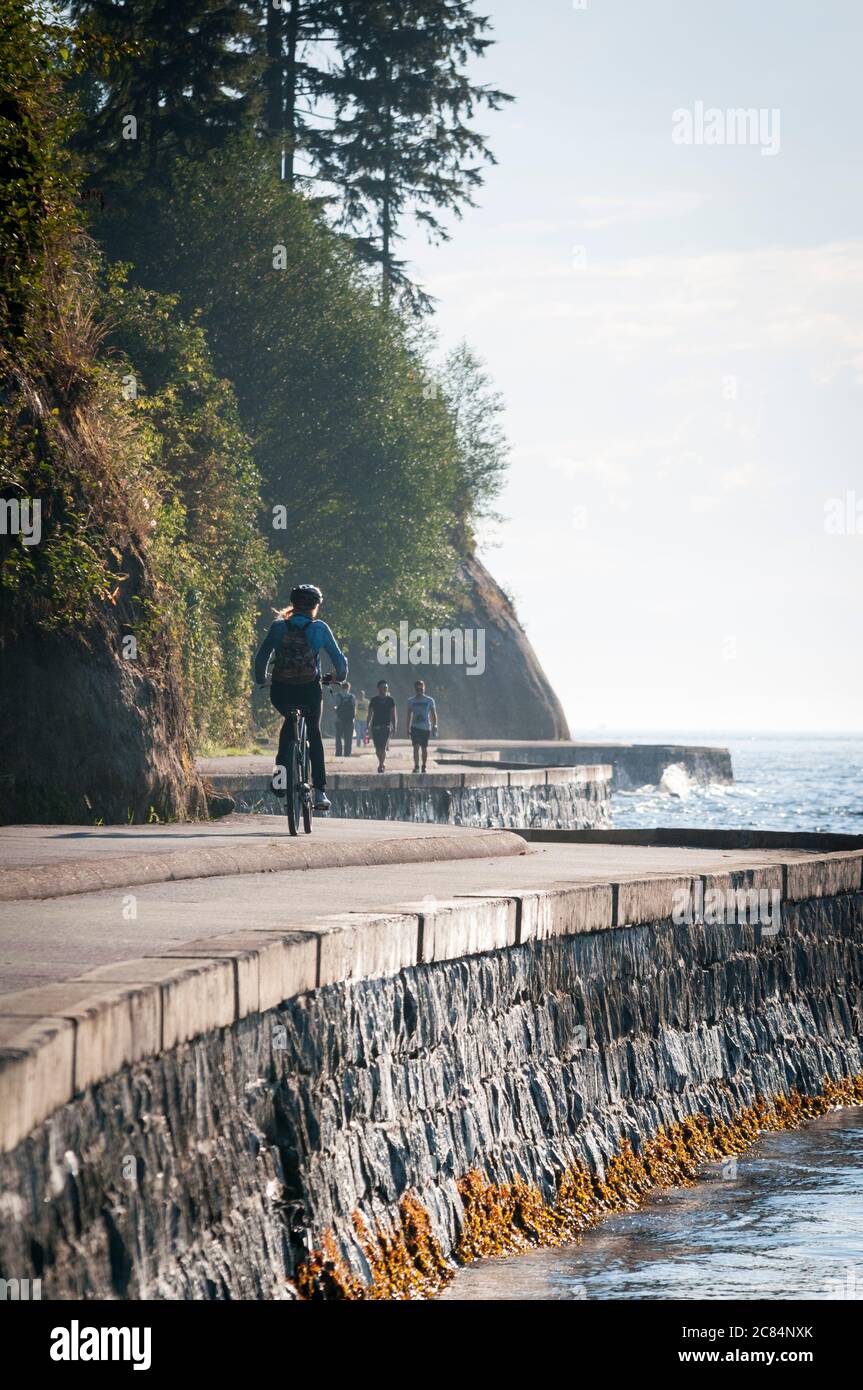 Stanley Park Seedwall, Vancouver, British Columbia, Kanada. Stockfoto