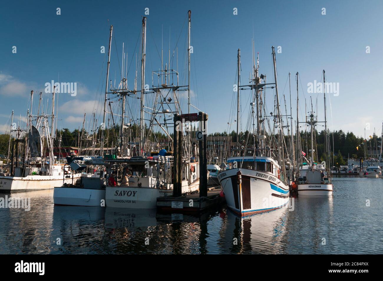 Fischerboote liegen in Ucluelet Harbour, Vancouver Island, British Columbia, Kanada. Stockfoto