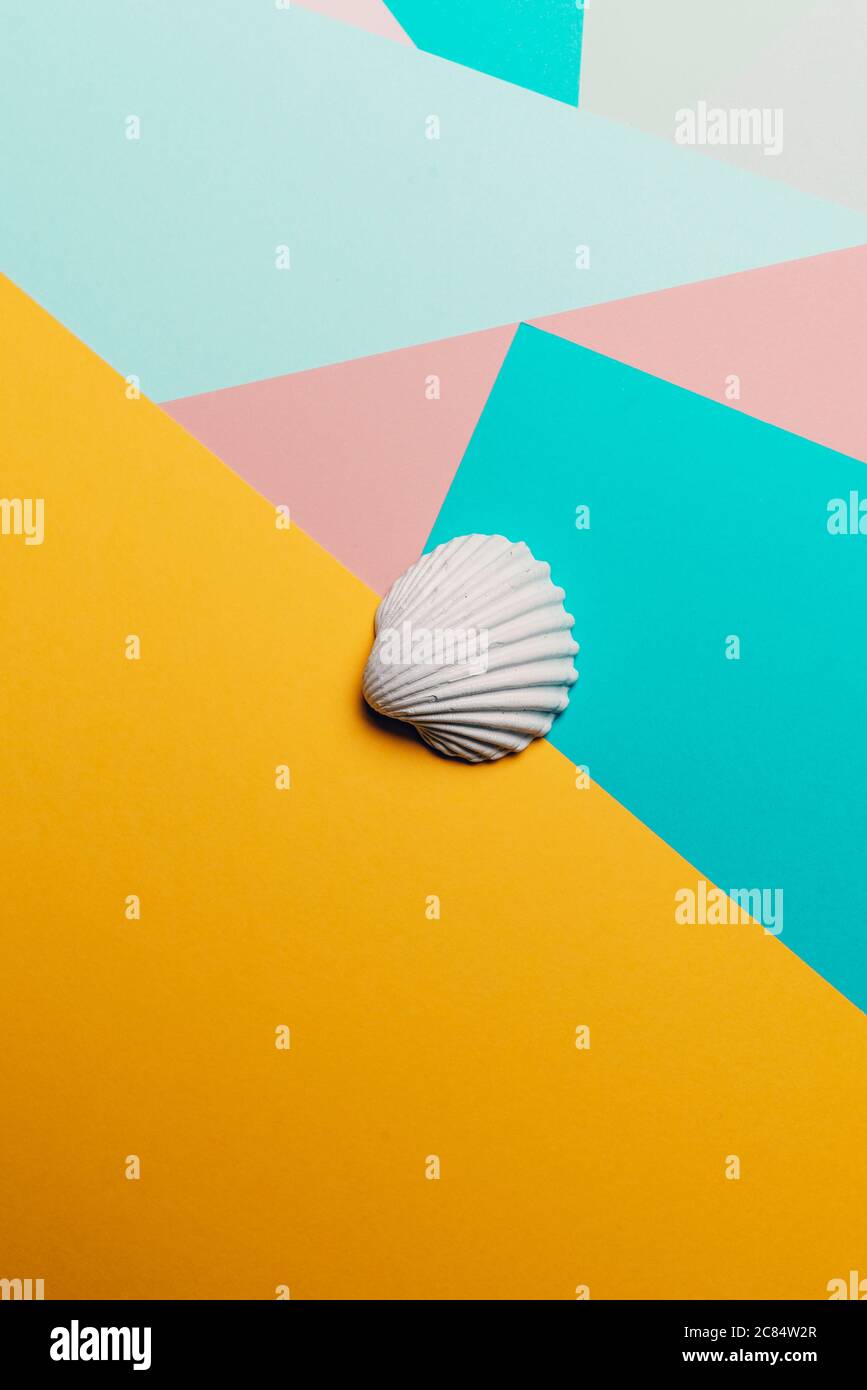 Weiße Muschel auf einem geometrischen bunten abstrakten Hintergrund, Summer Time Concept Stockfoto
