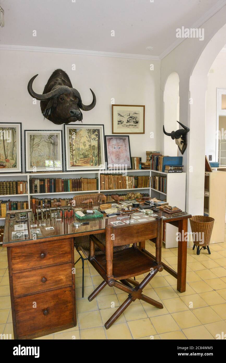 Kuba, Havanna: Auf der Finca Vigía war Ernest Hemingway zu Hause und ist heute ein Museum, das Museo Ernest Hemingway. Hier, das Autorenbüro mit Werken von ar Stockfoto