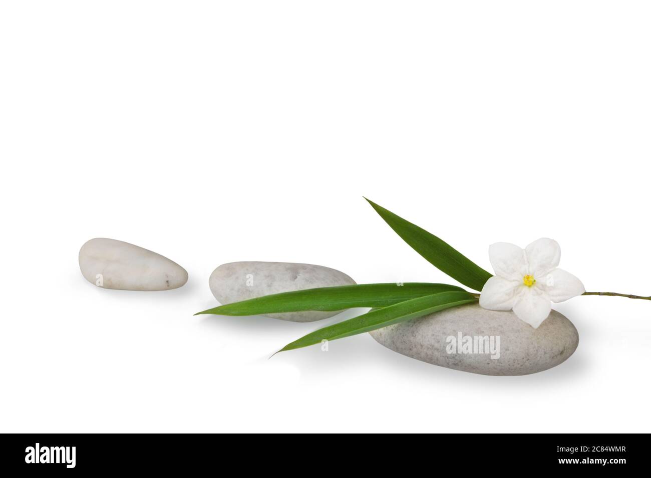 Wellness Stillleben, Kieselsteine, Bambusklingen und Jasminblüten High-Key-Studio-Shot Stockfoto