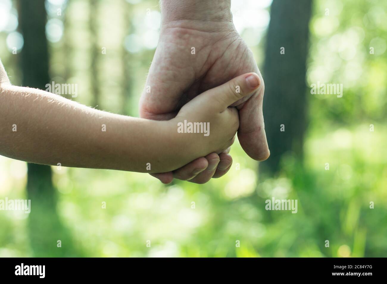 Nahaufnahme Hände ein Erwachsener hält die Hand eines Kindes. Stockfoto