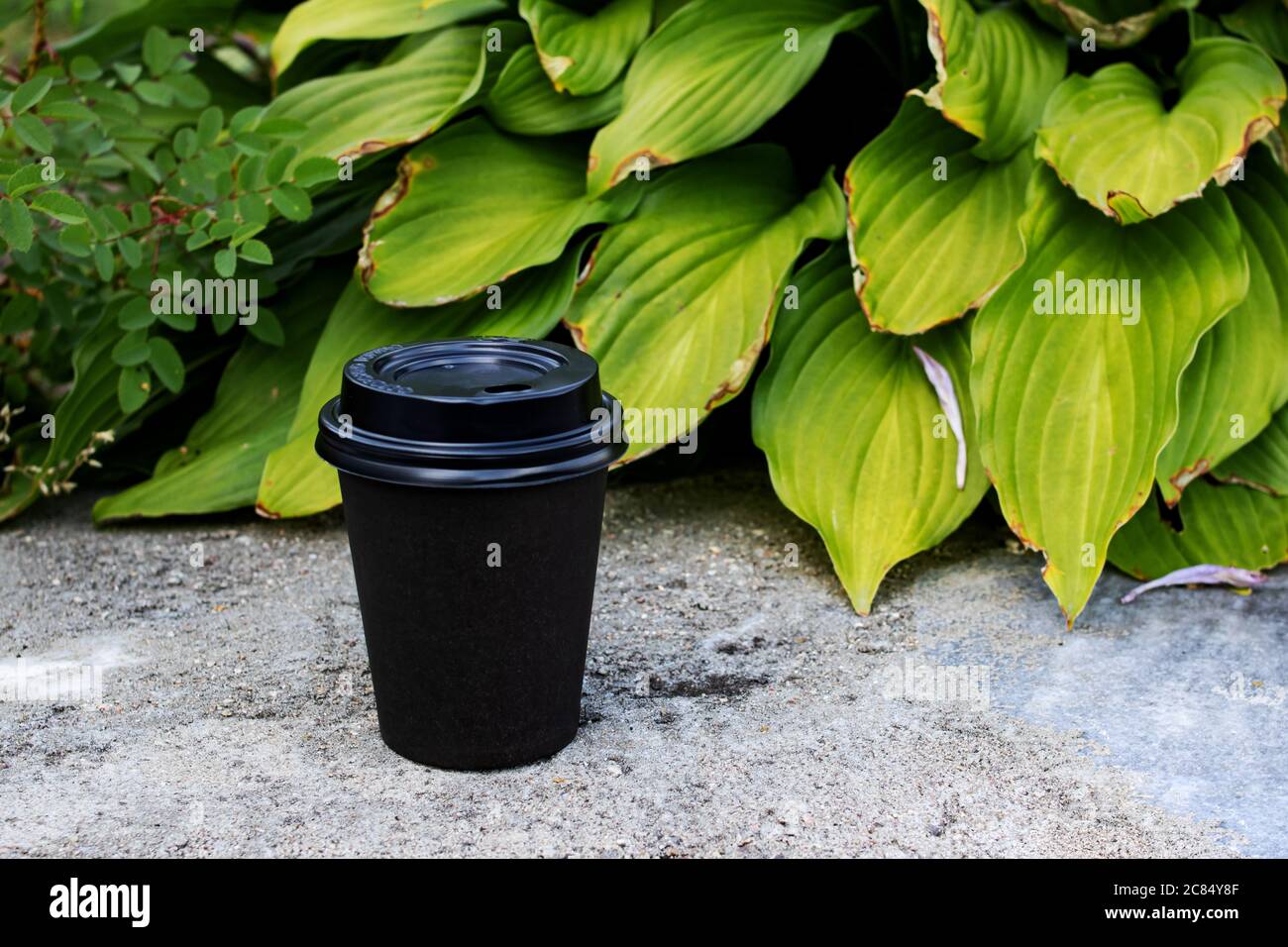 Schwarze Papiertasse mit Kaffee auf einem Hintergrund von grünen Blättern Stockfoto