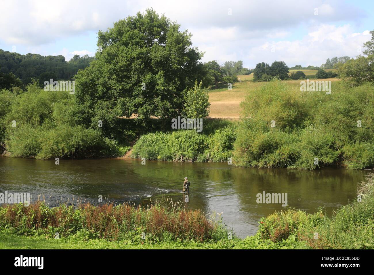 Mann, der im Fluss Severn angeln bei Upper Arley, Worcestershire, England, Großbritannien. Stockfoto