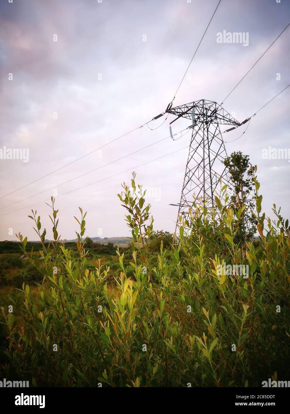 Elektrischer Turm auf dem Land, Galway, Irland, Moody Herbsttag, Vegetation im Vordergrund Stockfoto