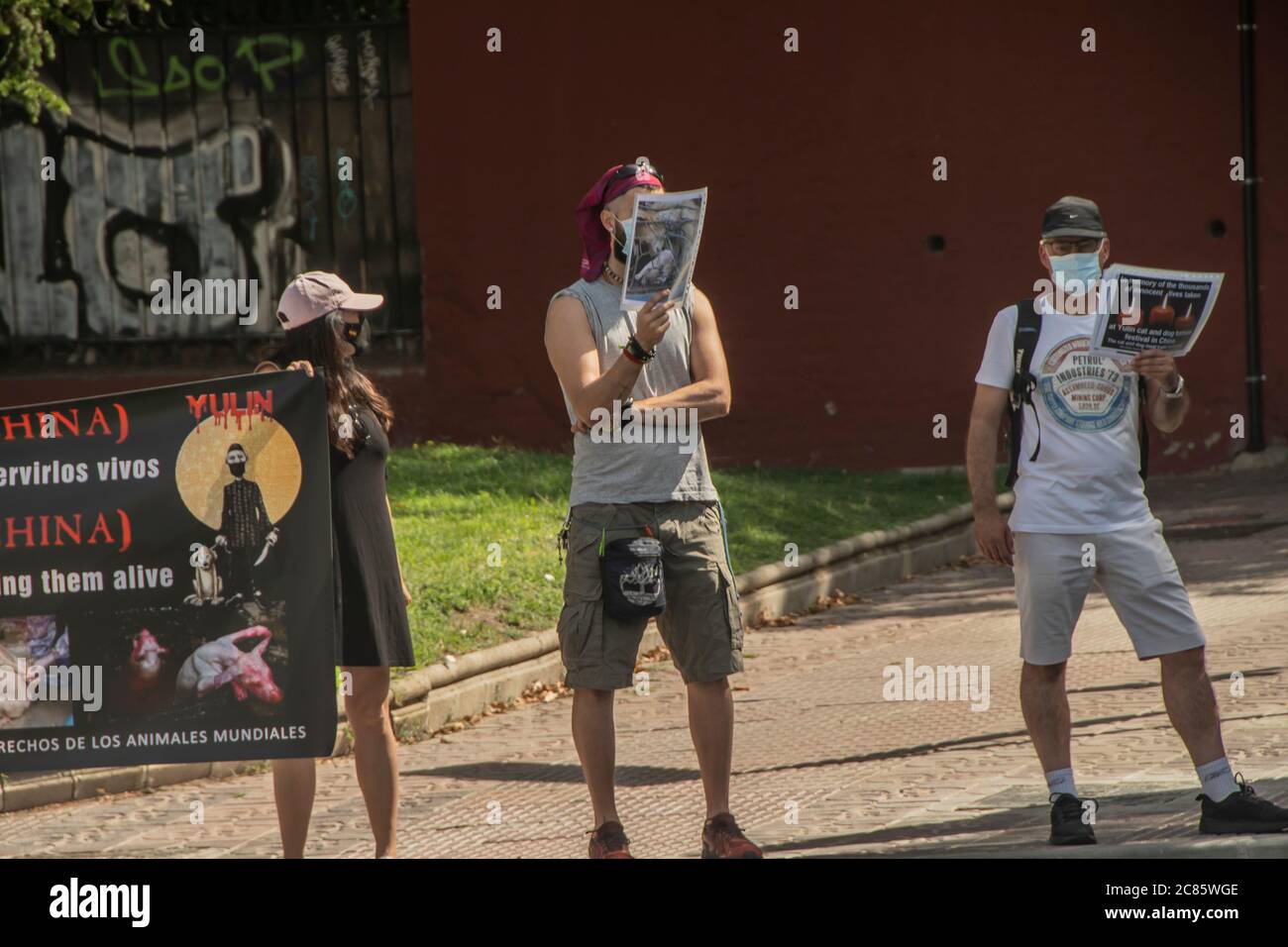 Madrid, Spanien. Juli 2020. Konzentration, um vor der chinesischen Botschaft in Madrid monatlichen Druck auszuüben. Die Gruppe der vereinigten Animalisten sind Aktivisten, die diese Konzentration herbeigerufen haben, damit sich die Menschen konzentrieren und sich gegen Tiermissbrauch in der Volksrepublik China für dieses grausame Fest beschweren, sagen die Demonstranten, die verschiedene Banner mit dem Aufschrift Stop Yulin Festival hatten. Stoppen Sie Yulin 2020. (Foto von Alberto Sibaja/Pacific Press) Quelle: Pacific Press Agency/Alamy Live News Stockfoto