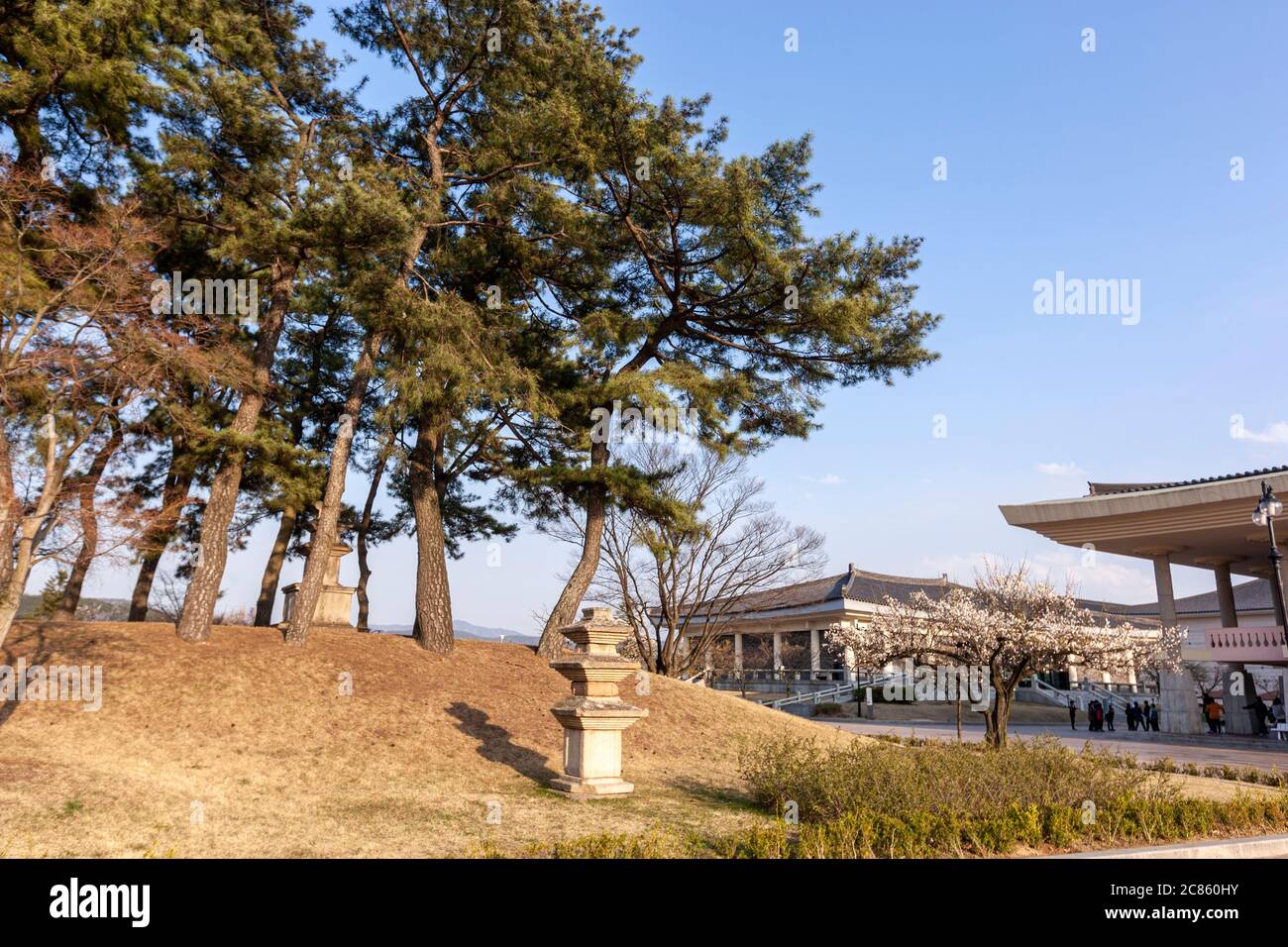Gyeongju National Museum, Gyeongju, Nord-Gyeongsang Provinz, Südkorea Stockfoto