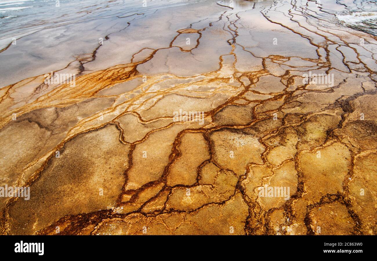 Nahaufnahme der Travertinen im Yellowstone National Park, Wyoming Stockfoto