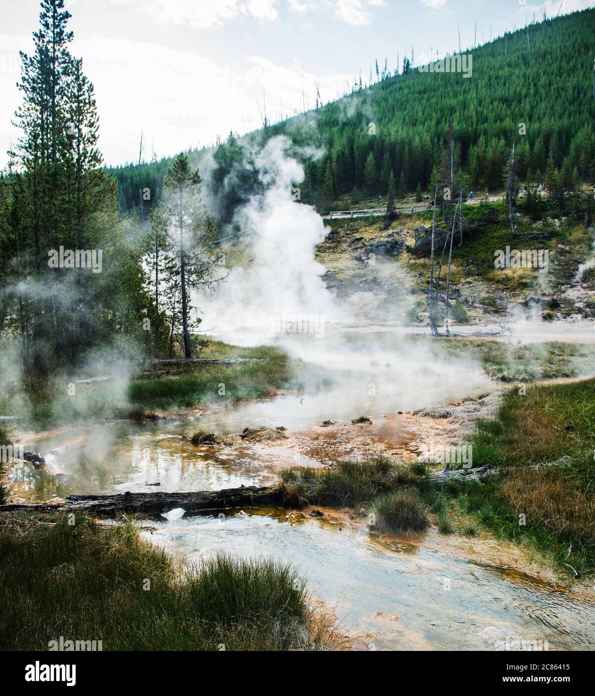 Landschaftsansicht des Künstlerpfades im Yellowstone Nationalpark, Wyoming Stockfoto