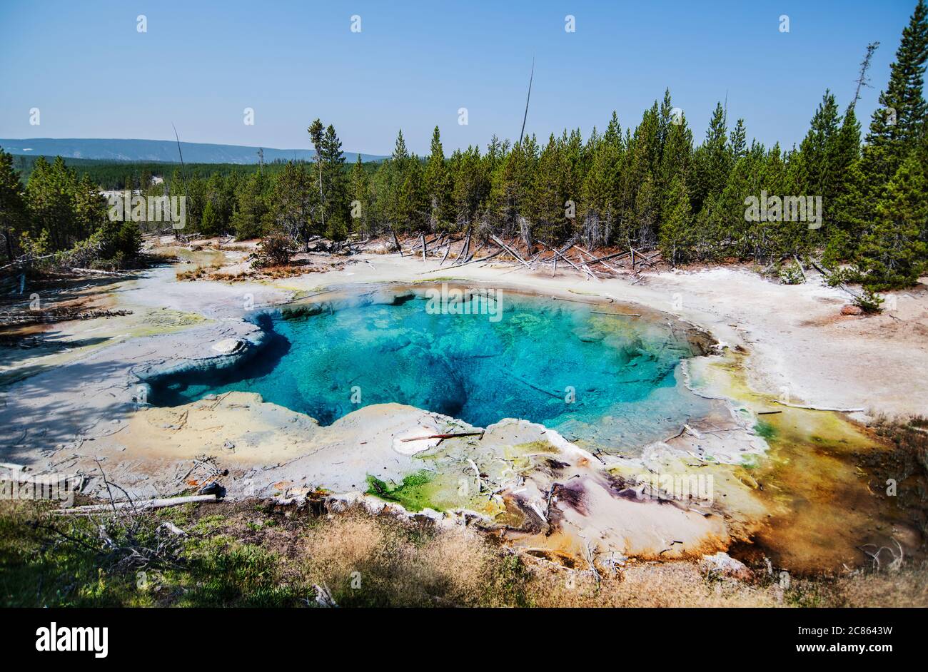 Geothermisches Schwimmbad im Yellowstone Nationalpark, Wyoming Stockfoto