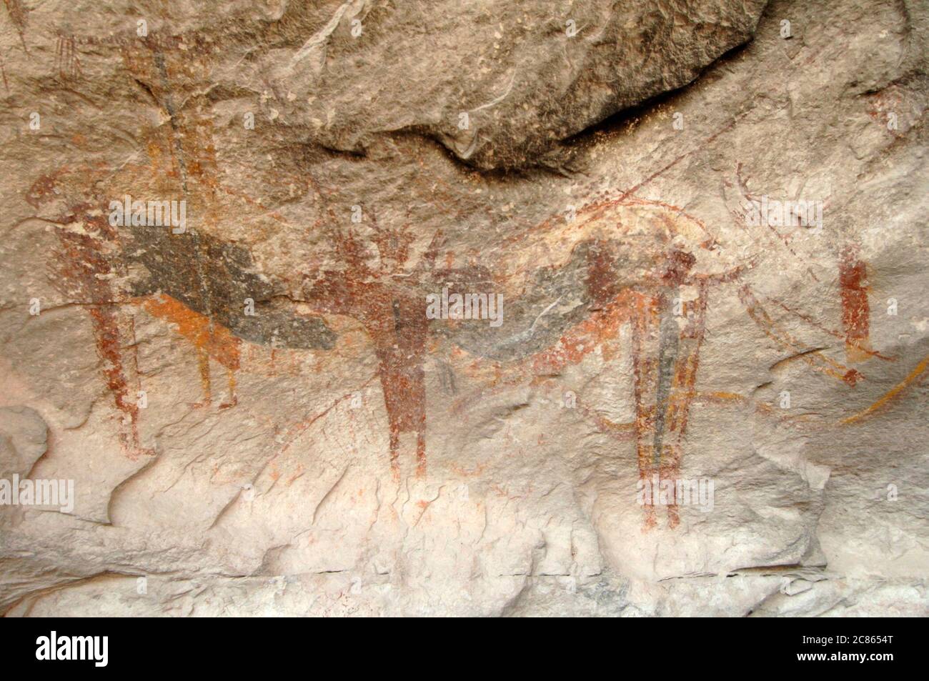 Val Verde County, Texas Oktober 2005: Die Panther Cave, ein großes Felsschutzgebiet, das für seine prähistorischen Piktogramme berühmt ist, liegt am linken Ufer des Seminole Canyon direkt über seinem Zusammenfluss mit dem Rio Grande. Die Stätte ist nach der größten und dramatischsten Figur benannt, einer großen springenden Katze, aber mindestens vier weitere Katzen sind in der Masse der Übermalung zu erkennen, die die Rückseite des Hauptzentrums bedeckt. Mehrere menschliche Figuren tragen Kopfbedeckungen, die an Katzenohren erinnern. ©Bob Daemmrich Stockfoto