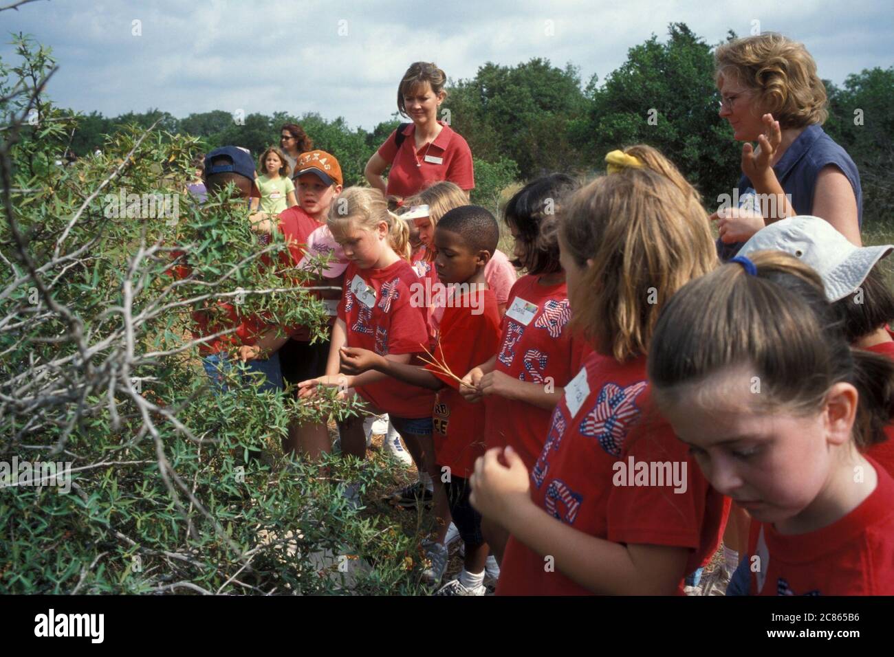 Austin Texas, USA, 2004: Schülerinnen machen einen Ausflug zum Lady Bird Johnson Wildflower Center. ©Bob Daemmrich Stockfoto