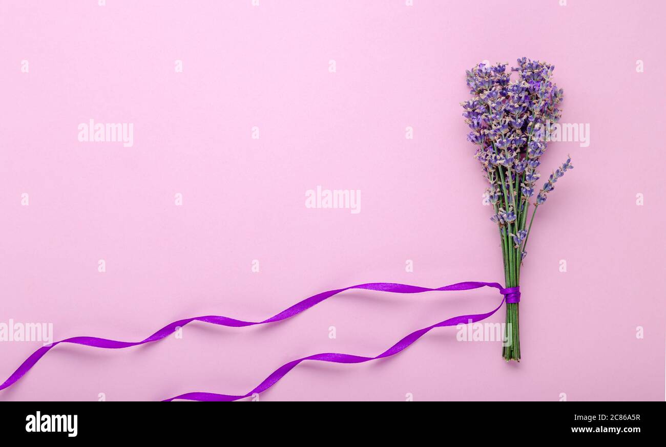 Frisches Lavendel Blumenstrauß mit lila Band auf farbigem Hintergrund. Für Text platzieren. Flatlay Kräuterblüte. Lavendel Aromatherapie. Rosa Stockfoto