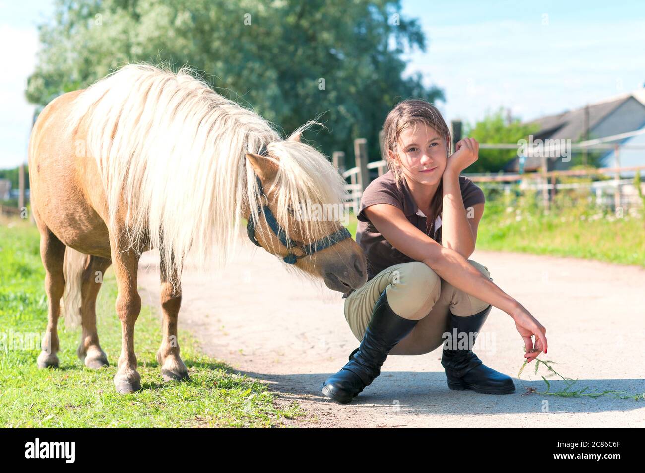 Gehorsam neugierig kleinen shetland Pony Pferd mit seinem Freund Teenager-Mädchen. Mehrfarbiges, horizontales Außenbild für die Sommerzeit. Stockfoto