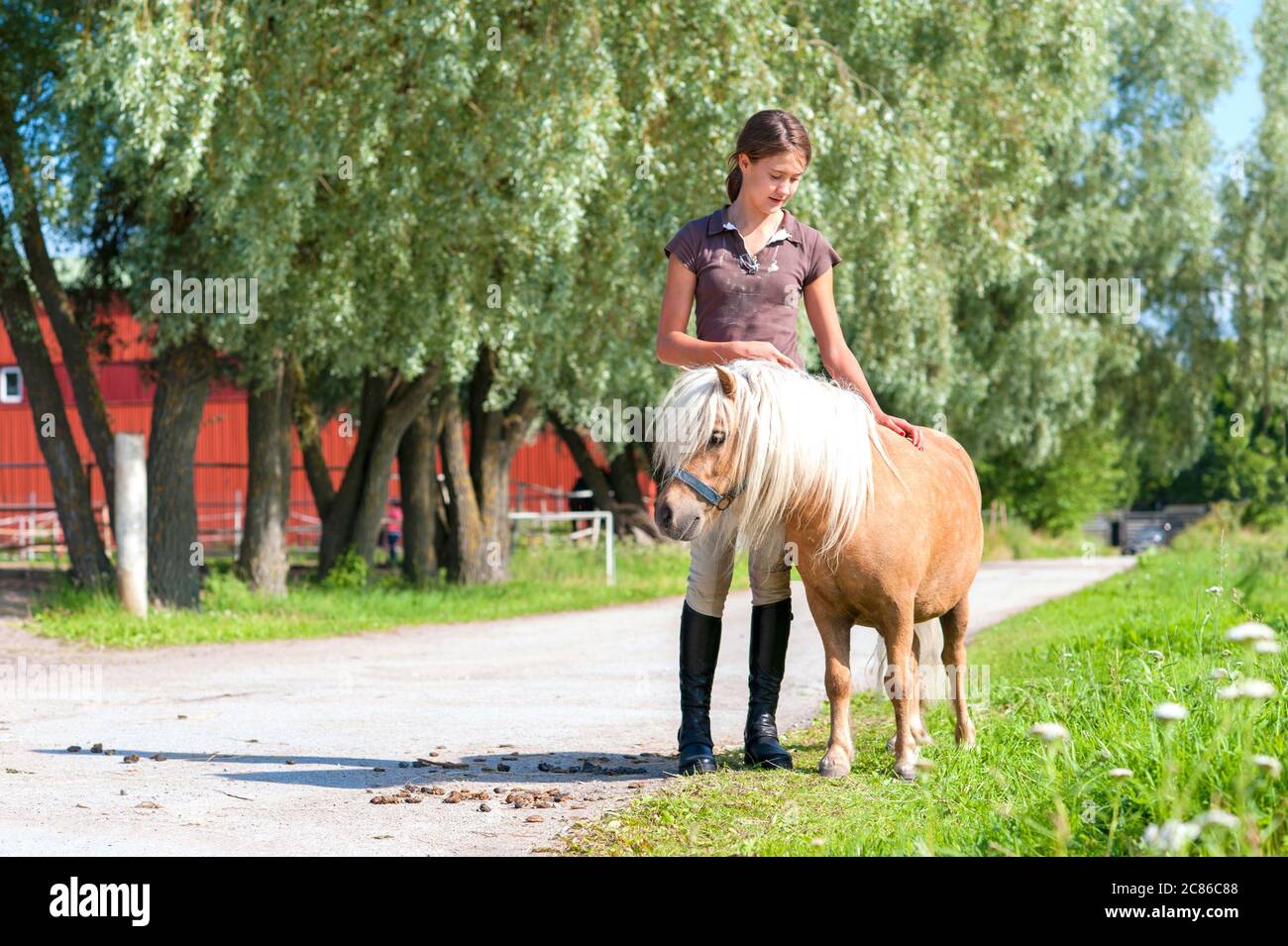 Freundschaft und Vertrauen. Lächelndes Teenager-Mädchen stehen und streicheln niedlichen kleinen shetland Pony. Sommerzeit im Freien horizontales Bild Stockfoto
