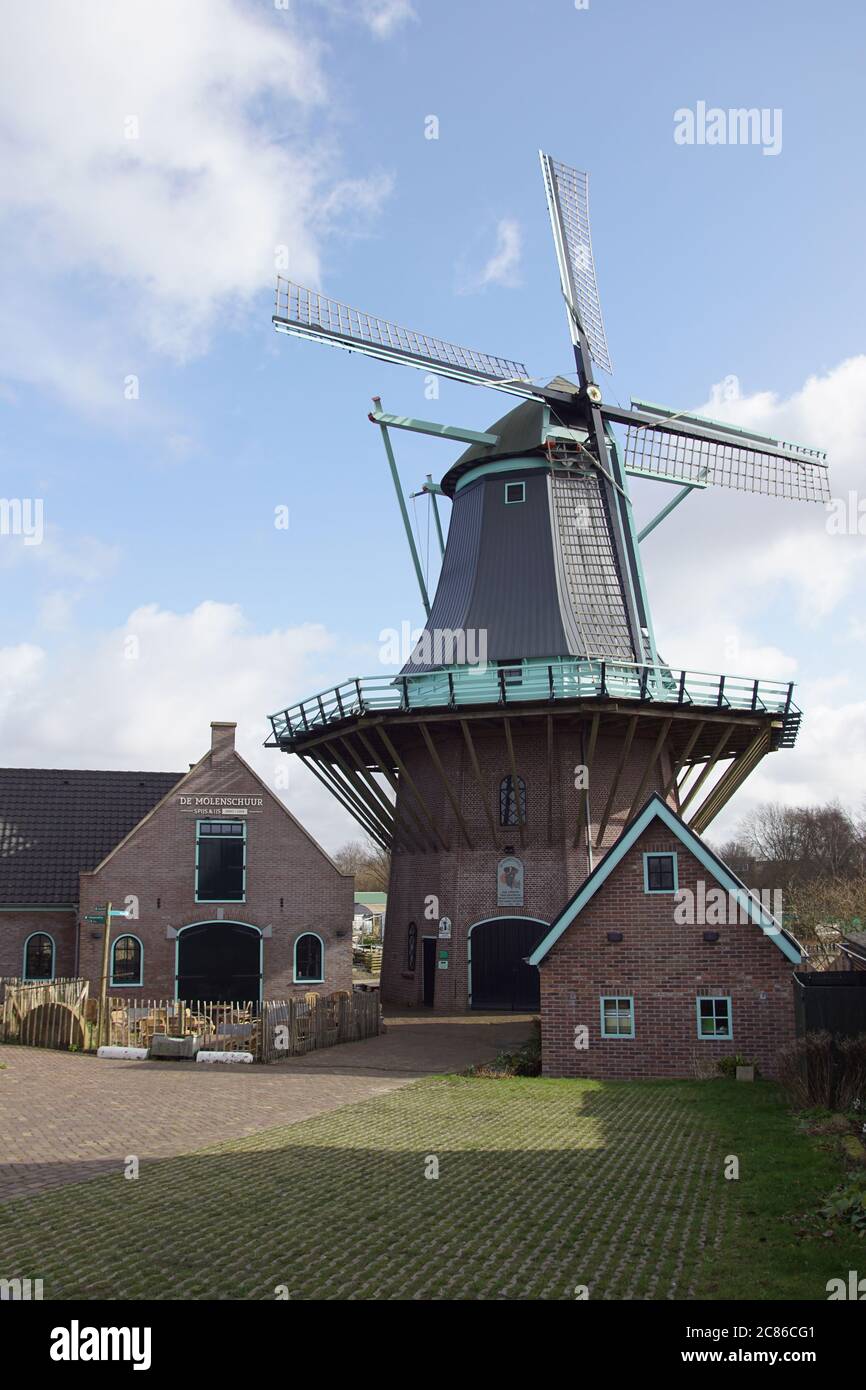 Die Gerüstmühle, Windmühle Gouden Engel (englisch: Golden Angel) im niederländischen Dorf Koedijk. Niederlande, Februar. Stockfoto