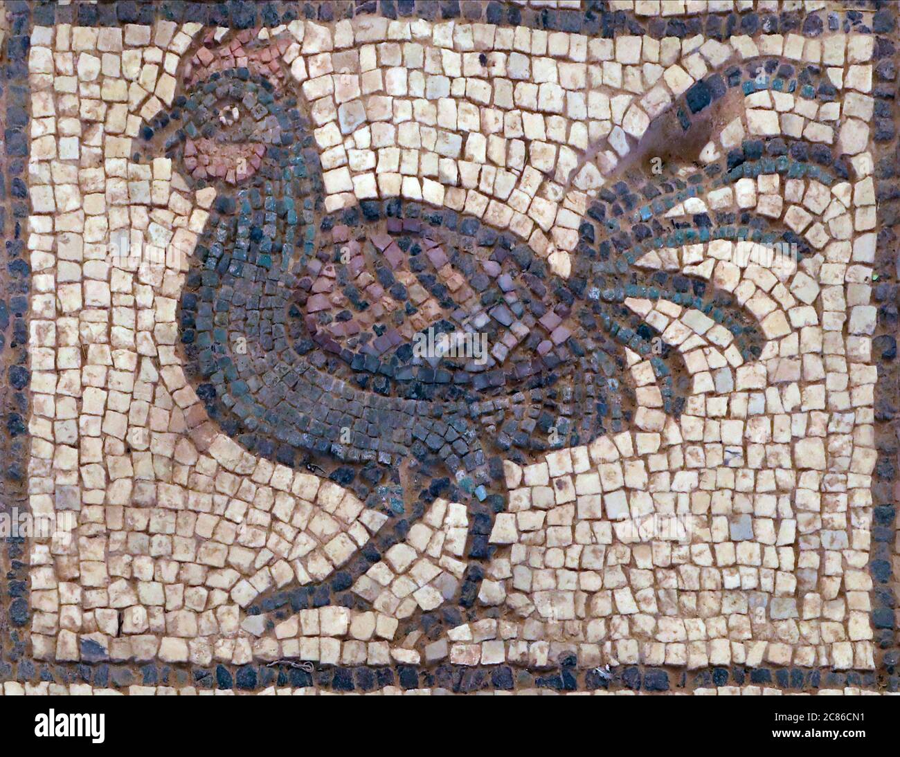 Hahn auf altem Mosaik von Petra, Jordanien Stockfoto