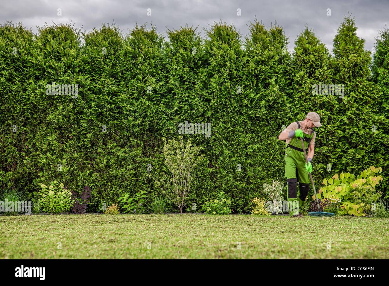 Kaukasischer Gärtner in seinen 40er Jahren, der frisch gemähtes Gras vom Garten Rasen im Garten des Hinterhofs rakend. Landschaftsgestaltung. Stockfoto