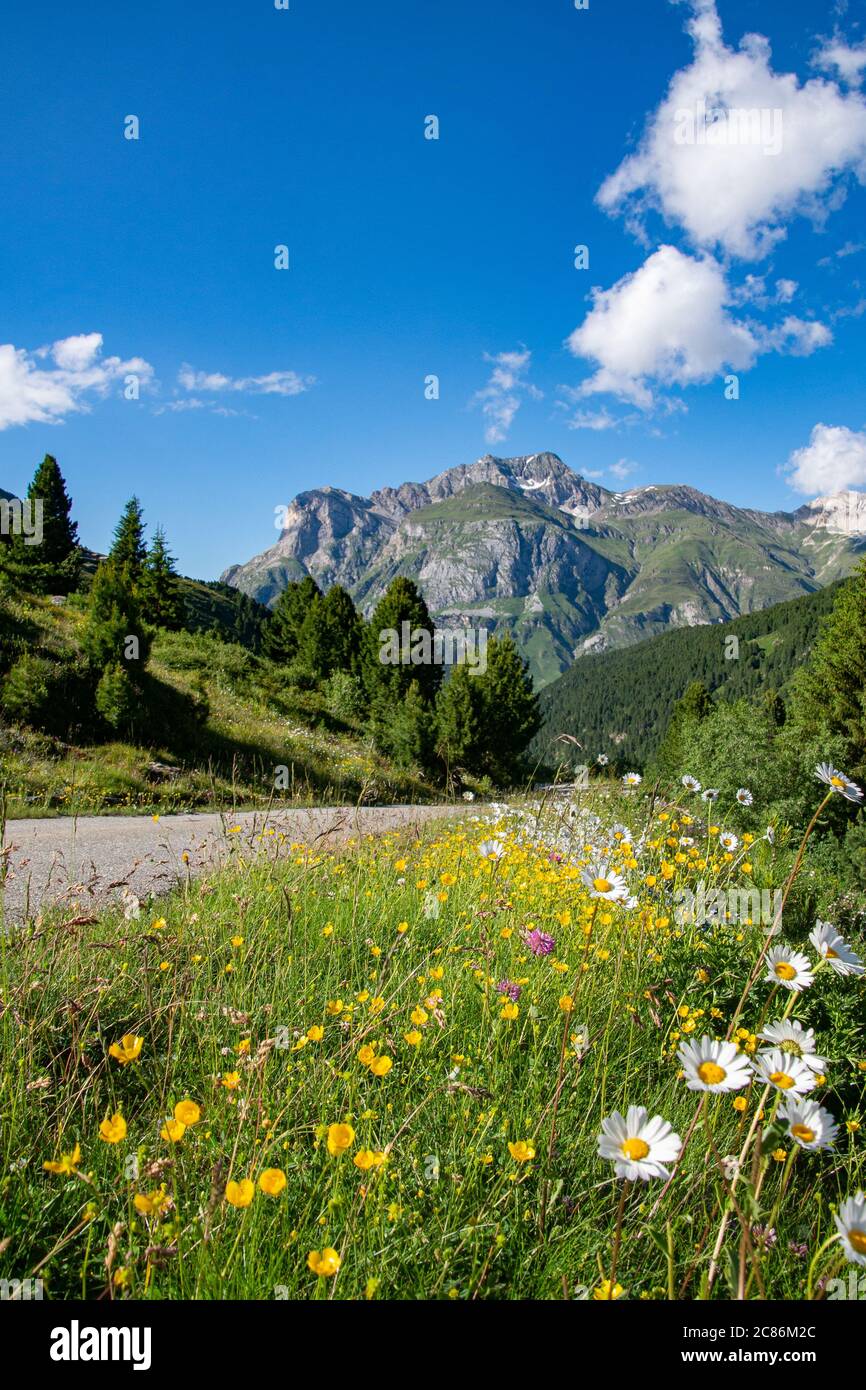Panorama - Valle Spluga Stockfoto