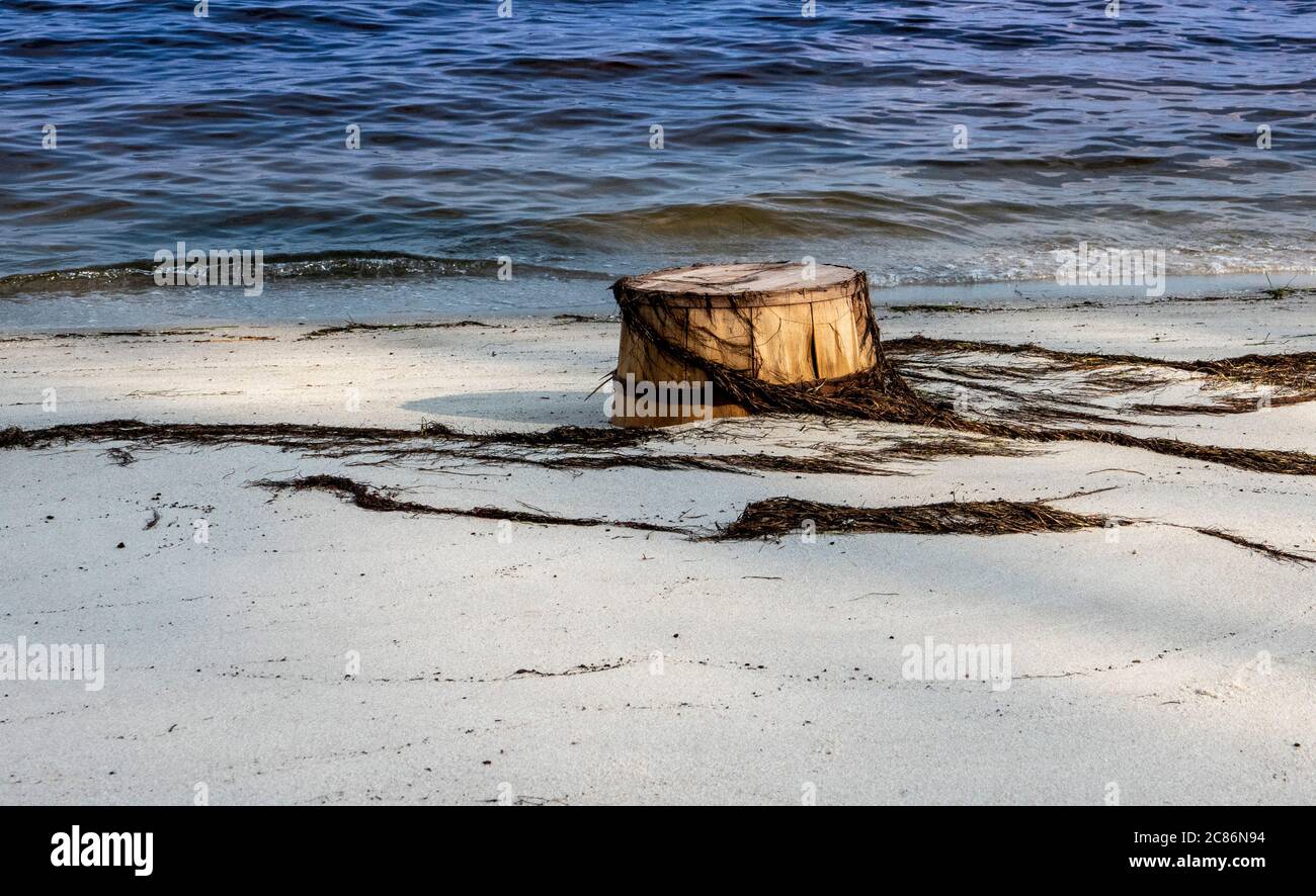 Verwitterter Holzeimer, der am Ufer aufgespült wurde. Stockfoto