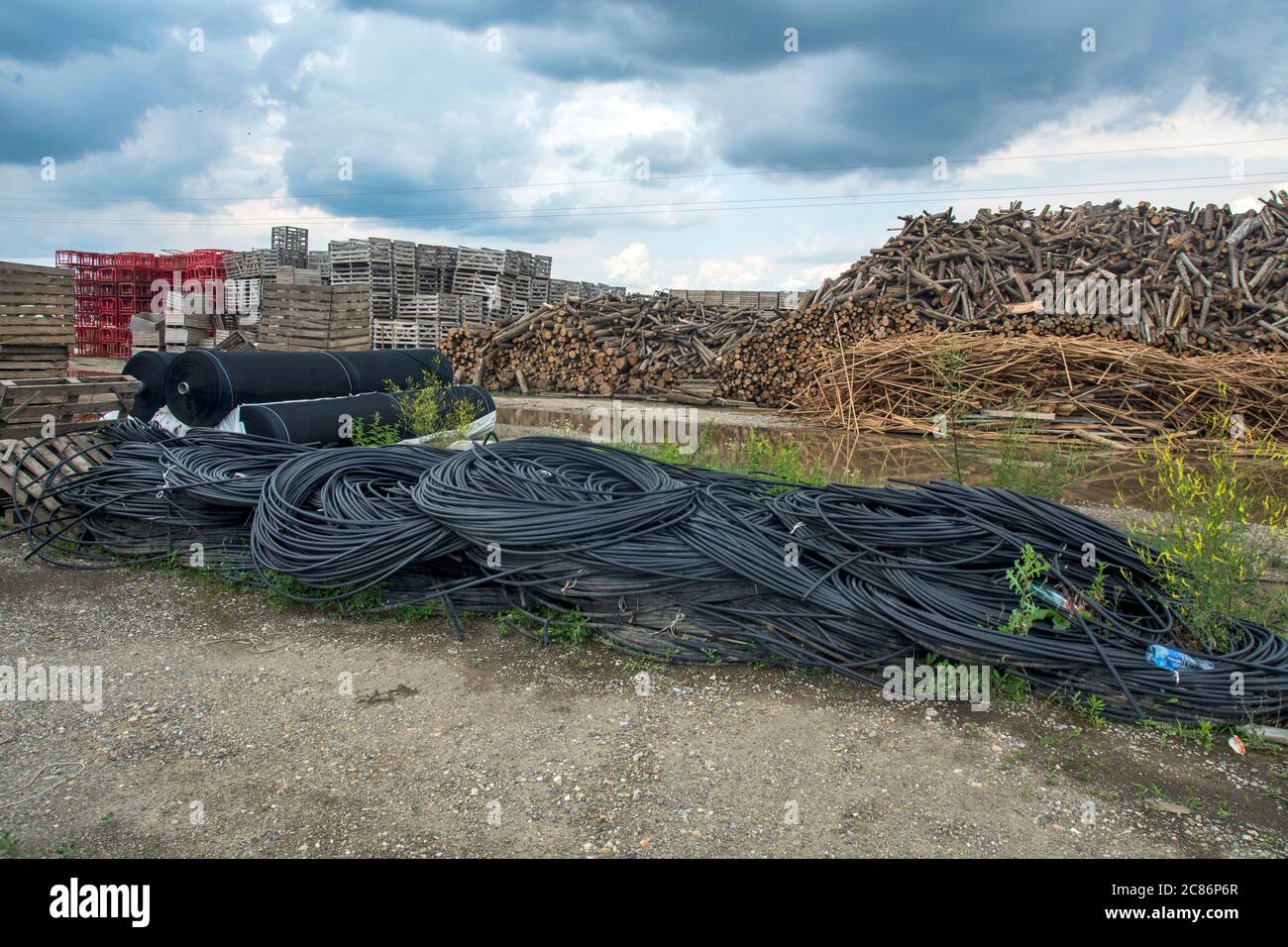 Riesige Hügel mit Holz in Lagerung. Die Protokolle werden für die Verarbeitung in der Industrie gespeichert und im Freien aufbewahrt. Es gibt auch Kunststoff verzierte Rohre sowie Stockfoto