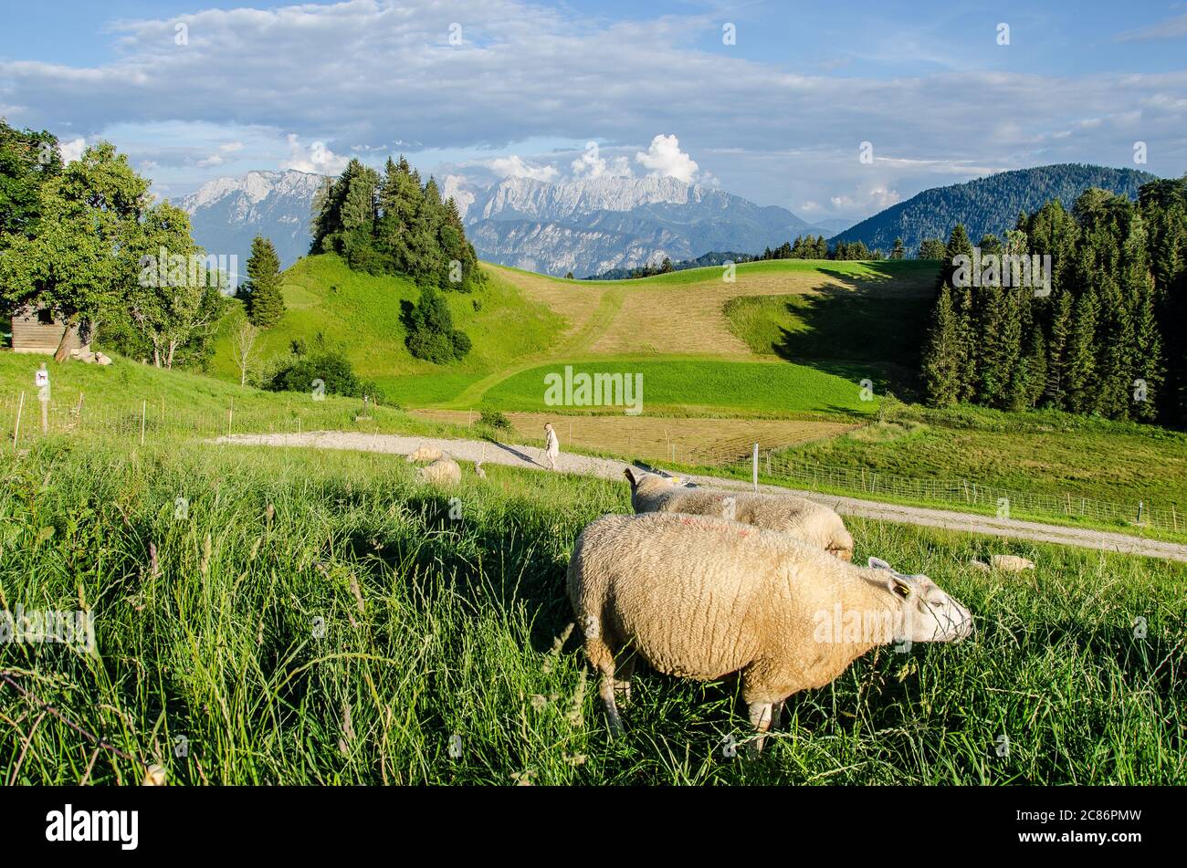 Herrliche Aussicht vom Gasthaus Bichler See auf das Kaisergebirge, eine der schönsten Landschaften der nördlichen Kalkalpen Stockfoto